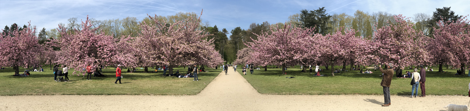 Picture France Parc de Sceaux 2019-04 52 - Road Parc de Sceaux