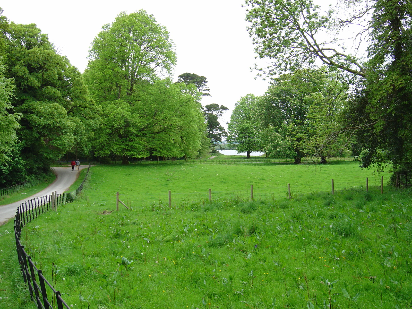 Picture Ireland Kerry Killarney National Park Muckross Lake 2004-05 24 - Flight Muckross Lake