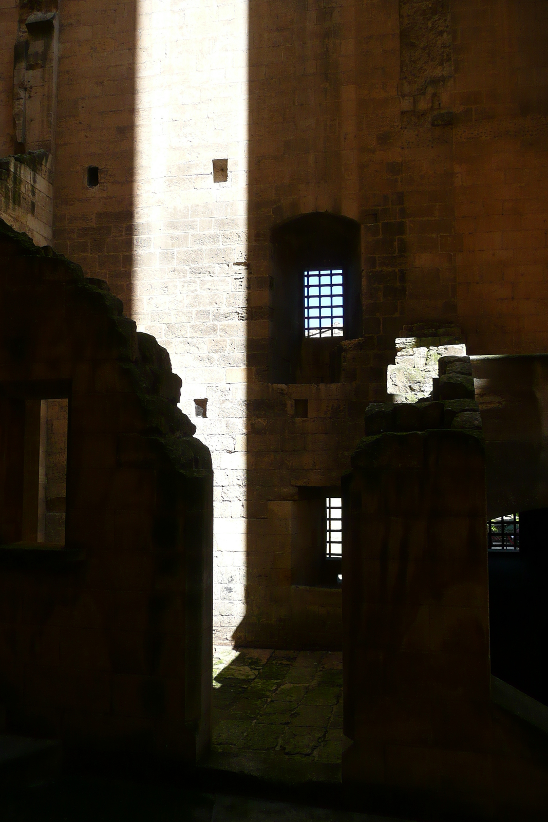 Picture France Tarascon Tarascon Castle 2008-04 178 - Photos Tarascon Castle