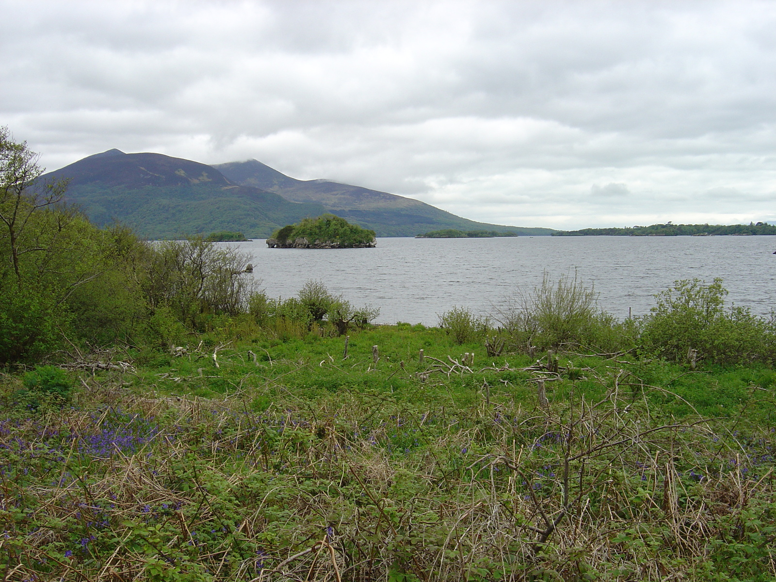 Picture Ireland Kerry Killarney National Park Muckross Lake 2004-05 21 - Road Muckross Lake