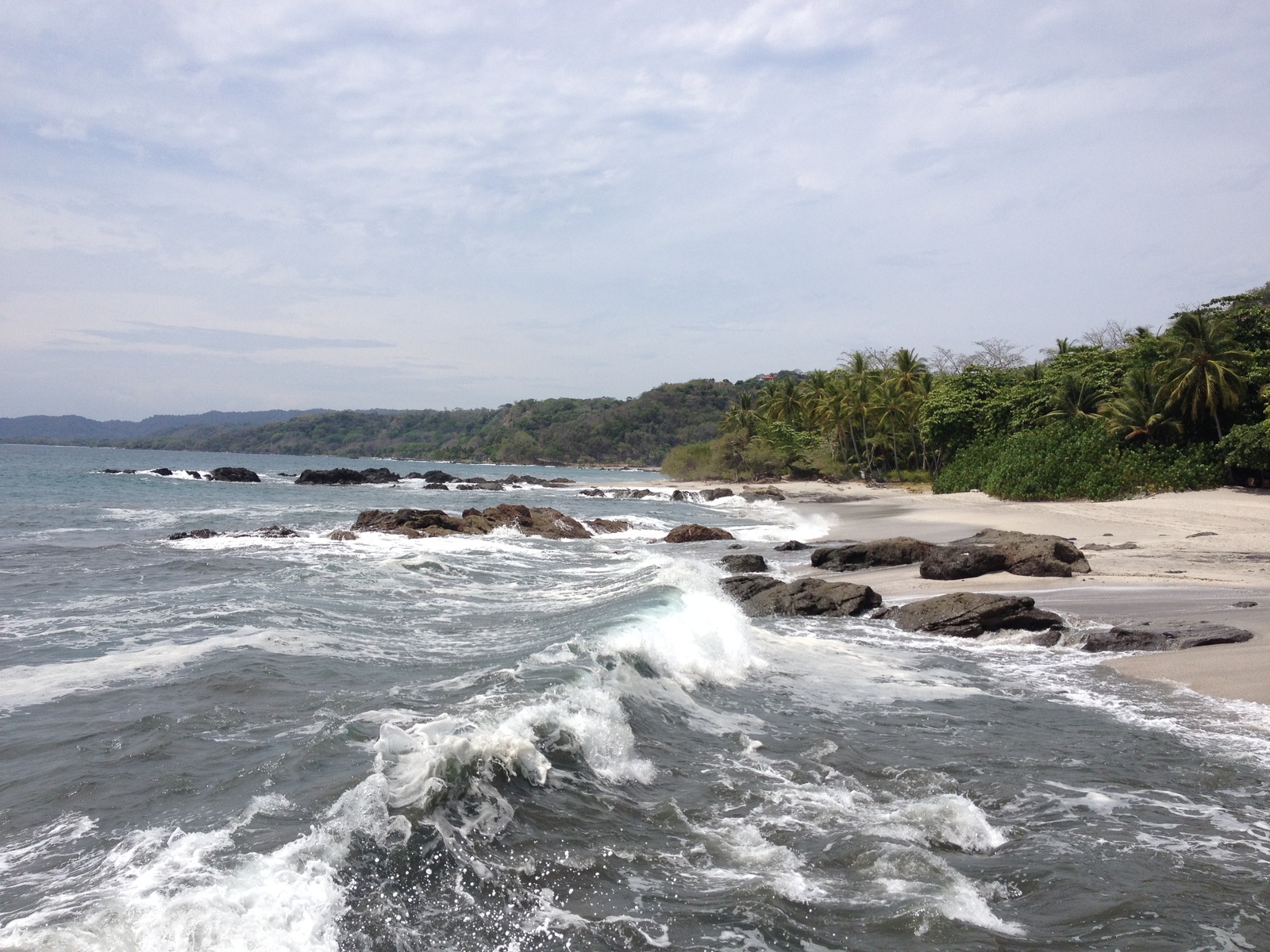 Picture Costa Rica 2015-03 86 - Photographers Costa Rica