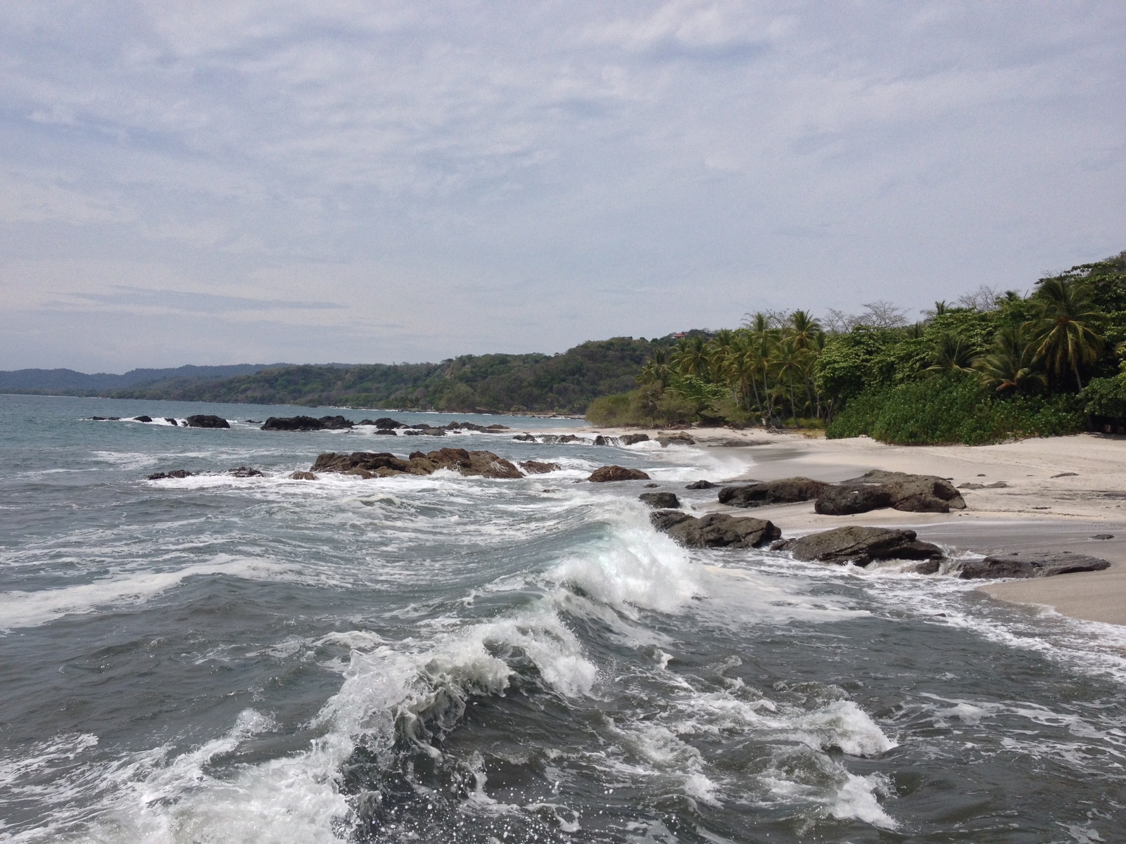 Picture Costa Rica Montezuma 2015-03 614 - Sight Montezuma