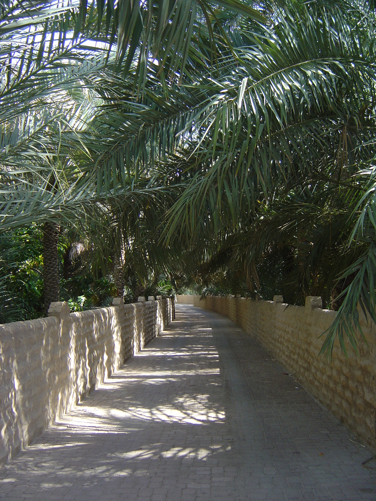 Picture United Arab Emirates Al Ain Al Ain Oasis 2005-03 26 - Tourist Attraction Al Ain Oasis