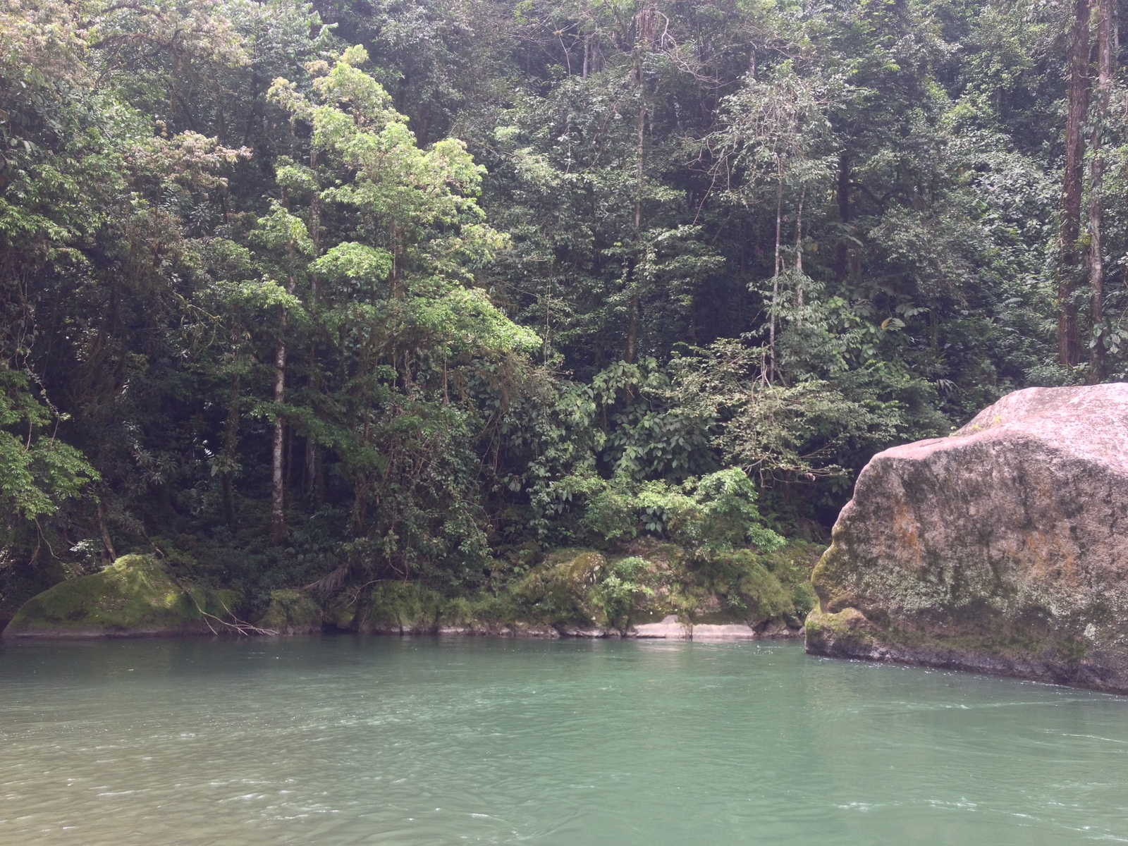 Picture Costa Rica Pacuare River 2015-03 197 - Flights Pacuare River