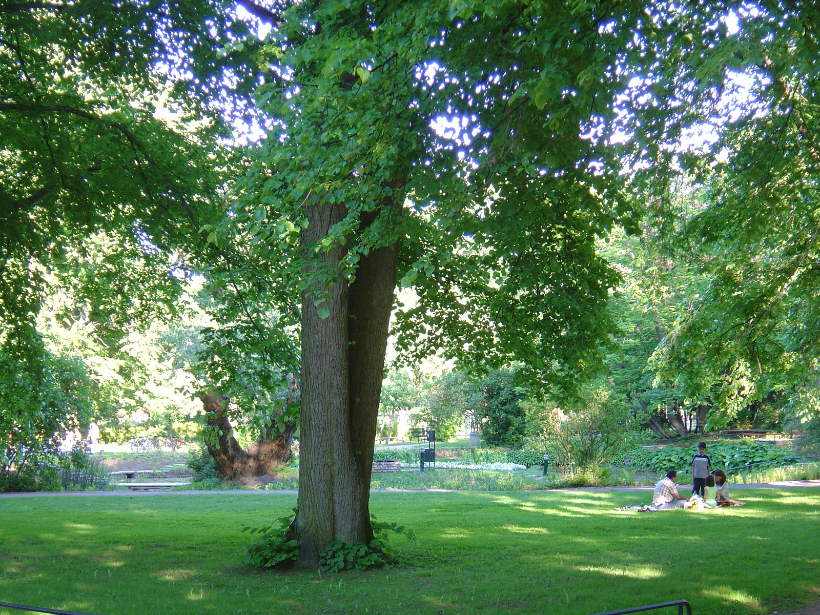 Picture Sweden Uppsala 2005-06 13 - Sightseeing Uppsala