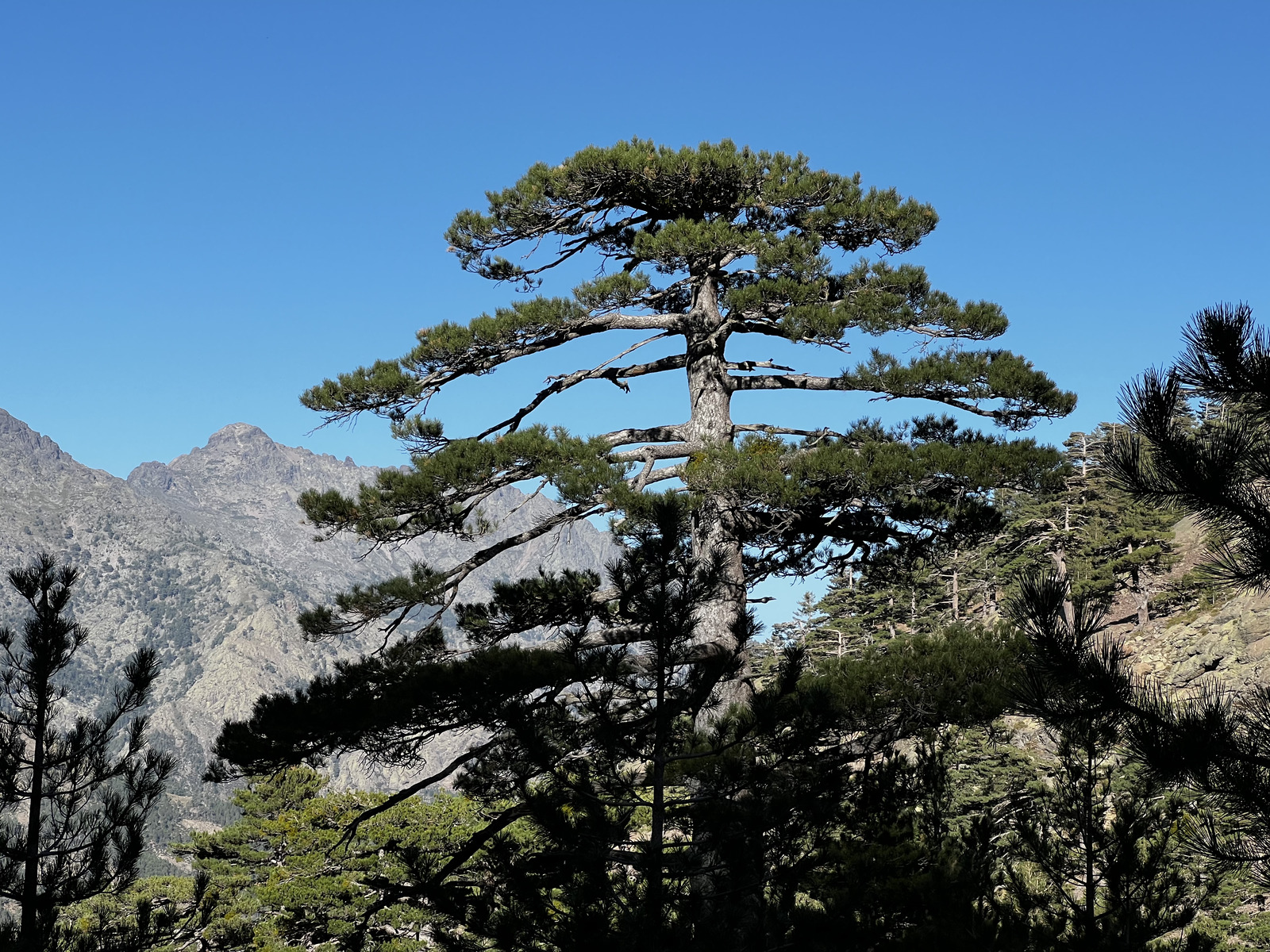 Picture France Corsica Monte Cinto 2023-10 109 - Tourist Monte Cinto