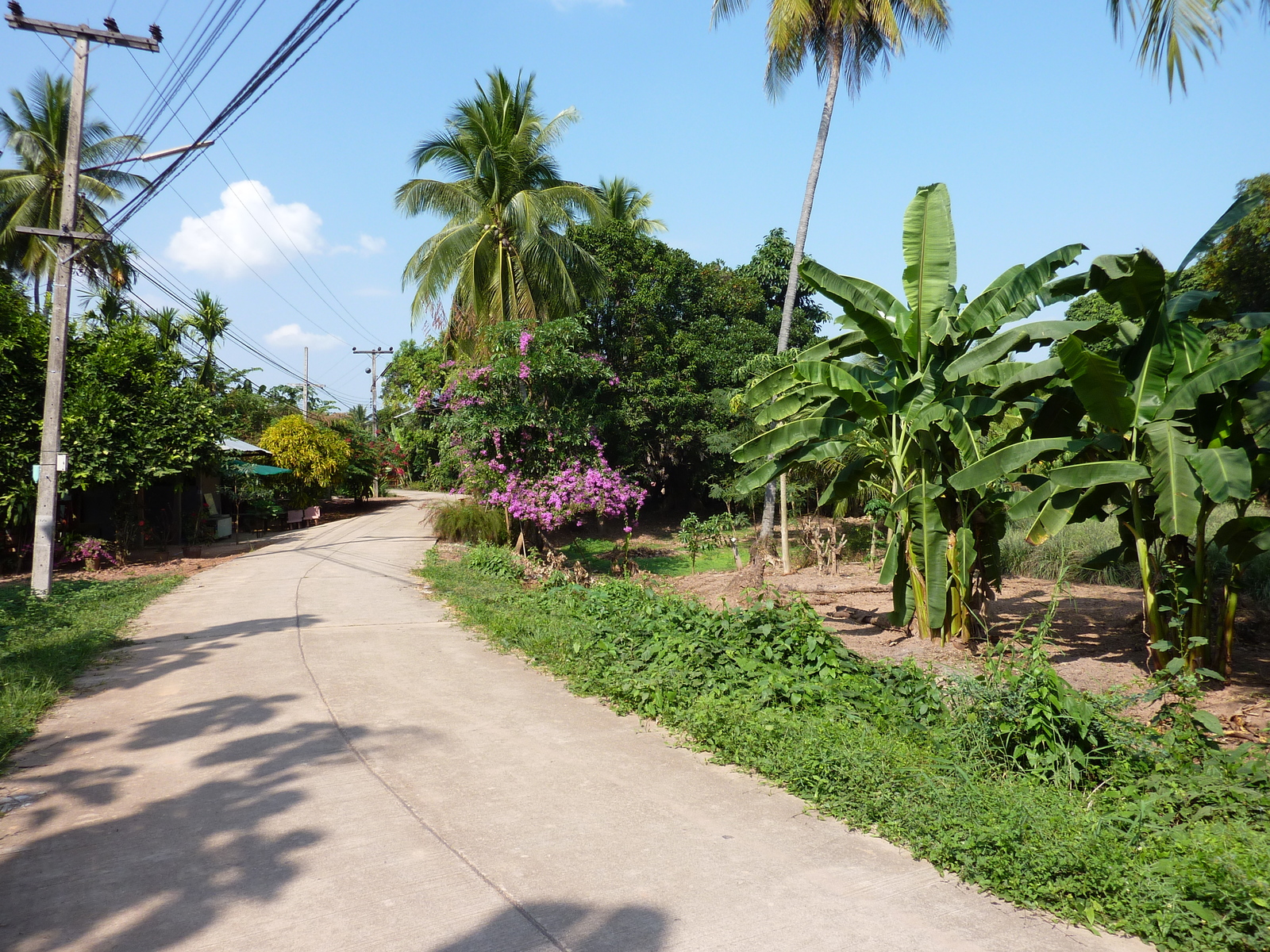 Picture Thailand Phitsanulok Chom Thong 2009-12 20 - Tourist Places Chom Thong