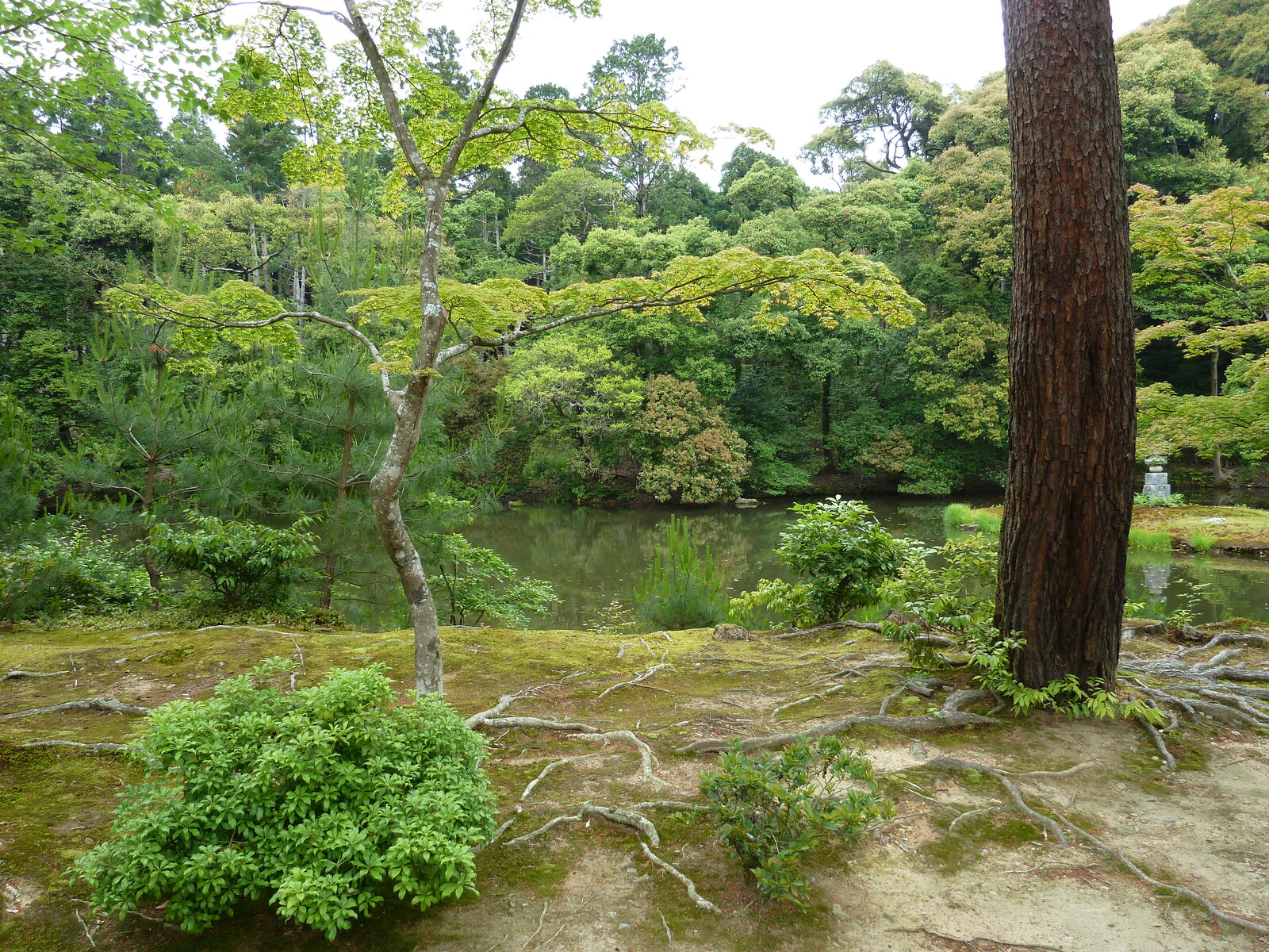 Picture Japan Kyoto Kinkakuji Temple(Golden Pavilion) 2010-06 42 - Car Kinkakuji Temple(Golden Pavilion)