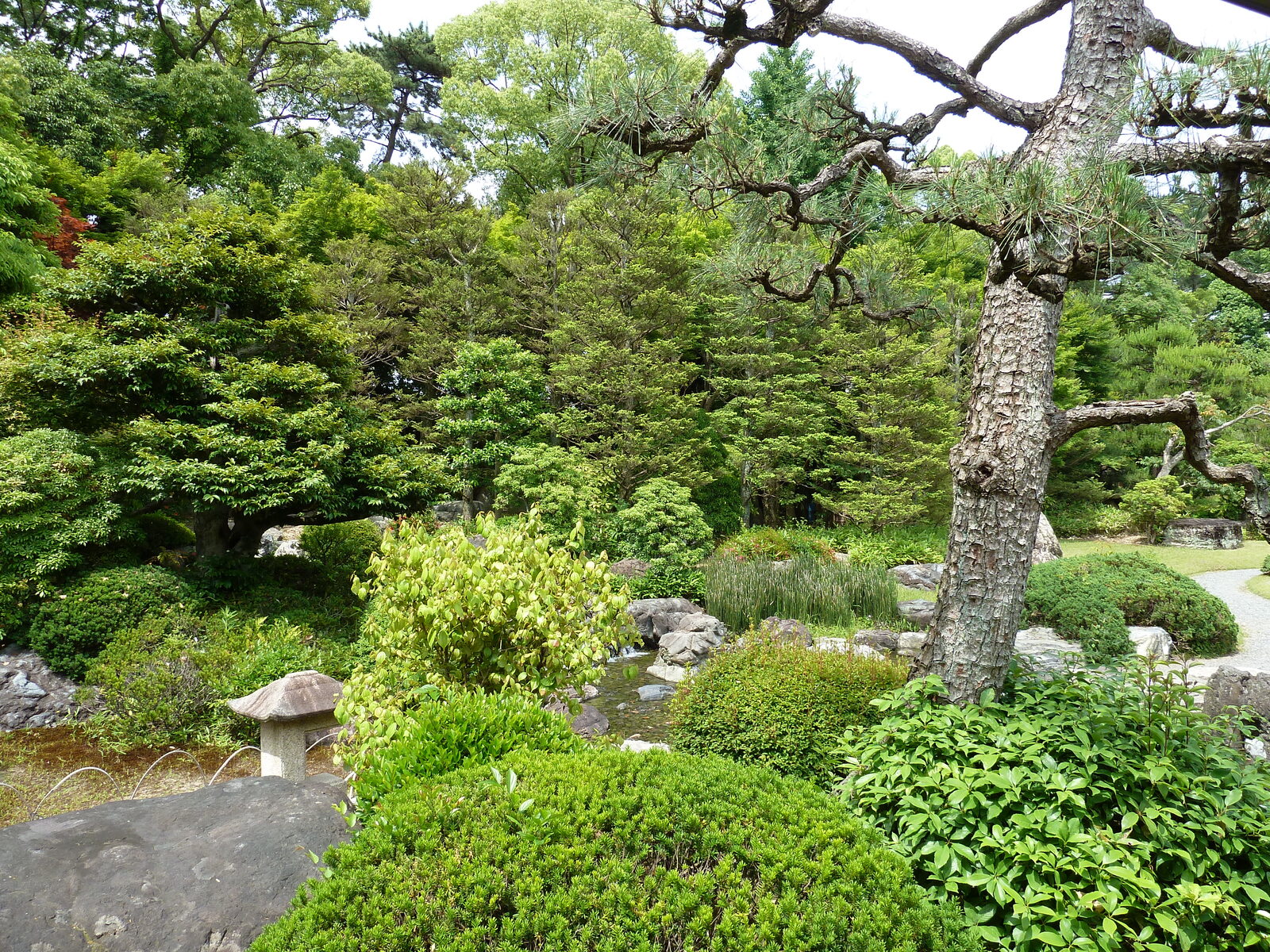 Picture Japan Kyoto Nijo Castle 2010-06 109 - Photographer Nijo Castle