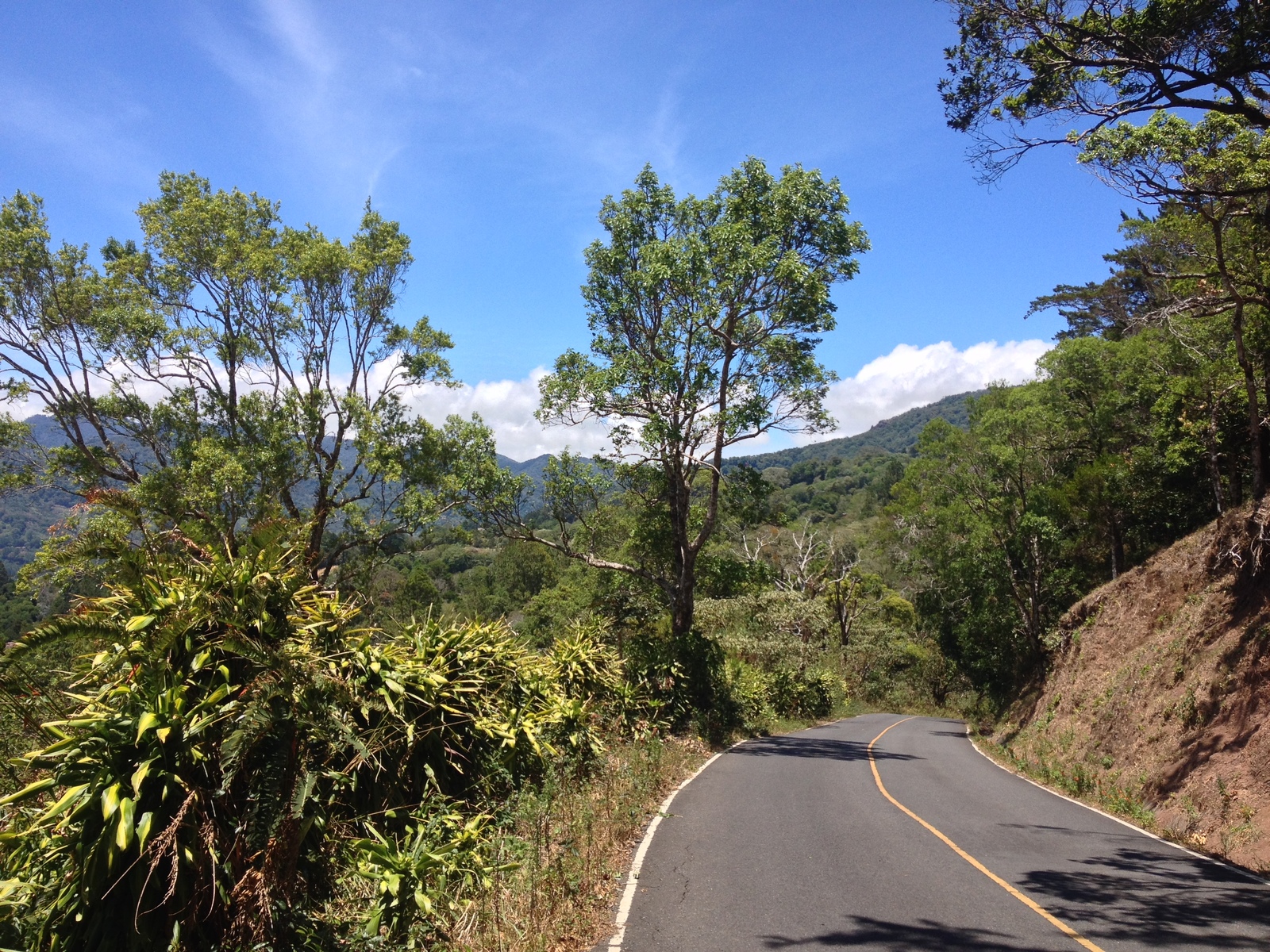 Picture Panama Boquete 2015-03 72 - Sightseeing Boquete