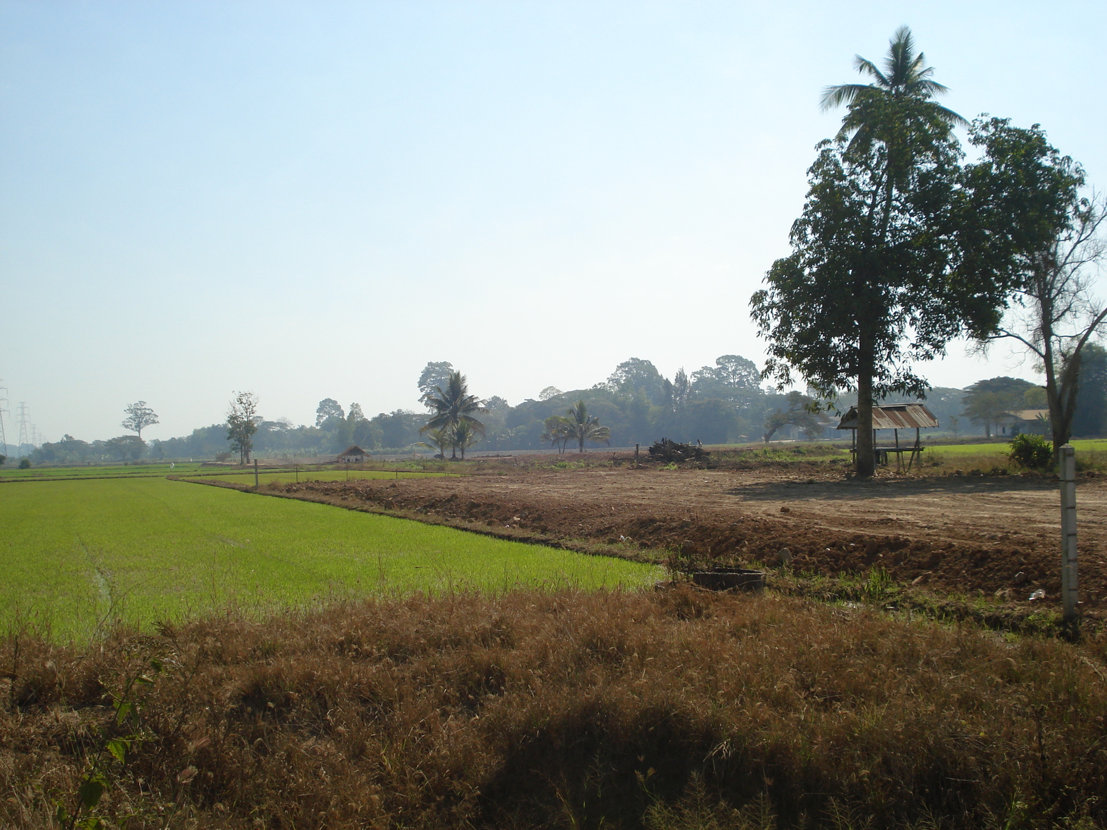 Picture Thailand Phitsanulok 2008-01 12 - Journey Phitsanulok