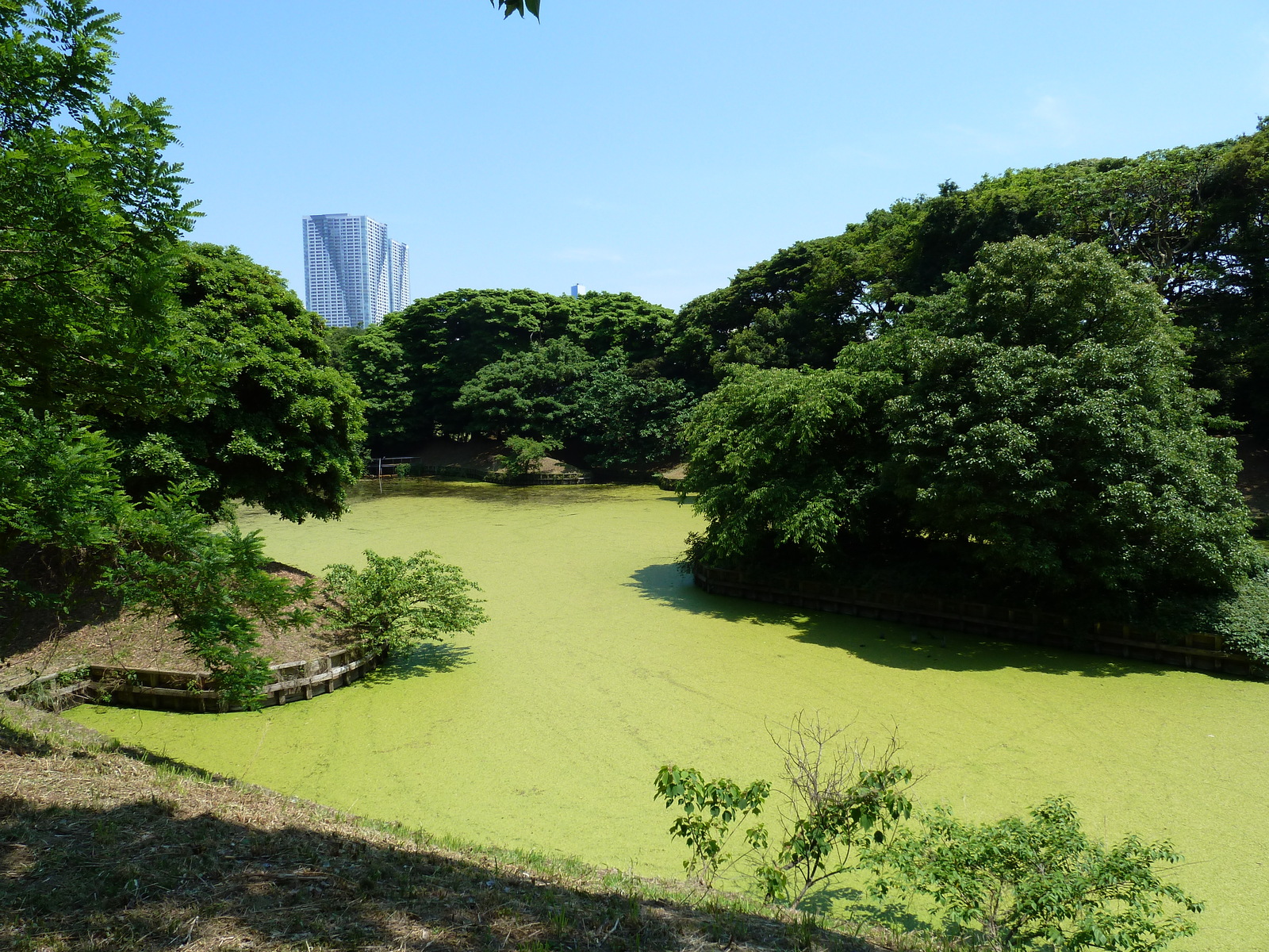 Picture Japan Tokyo Hama rikyu Gardens 2010-06 62 - View Hama rikyu Gardens