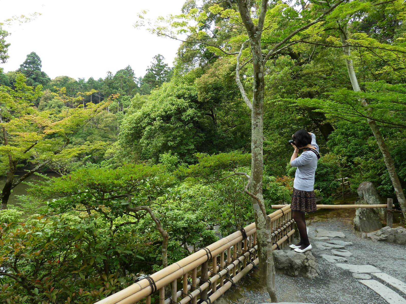 Picture Japan Kyoto Kinkakuji Temple(Golden Pavilion) 2010-06 50 - Flight Kinkakuji Temple(Golden Pavilion)