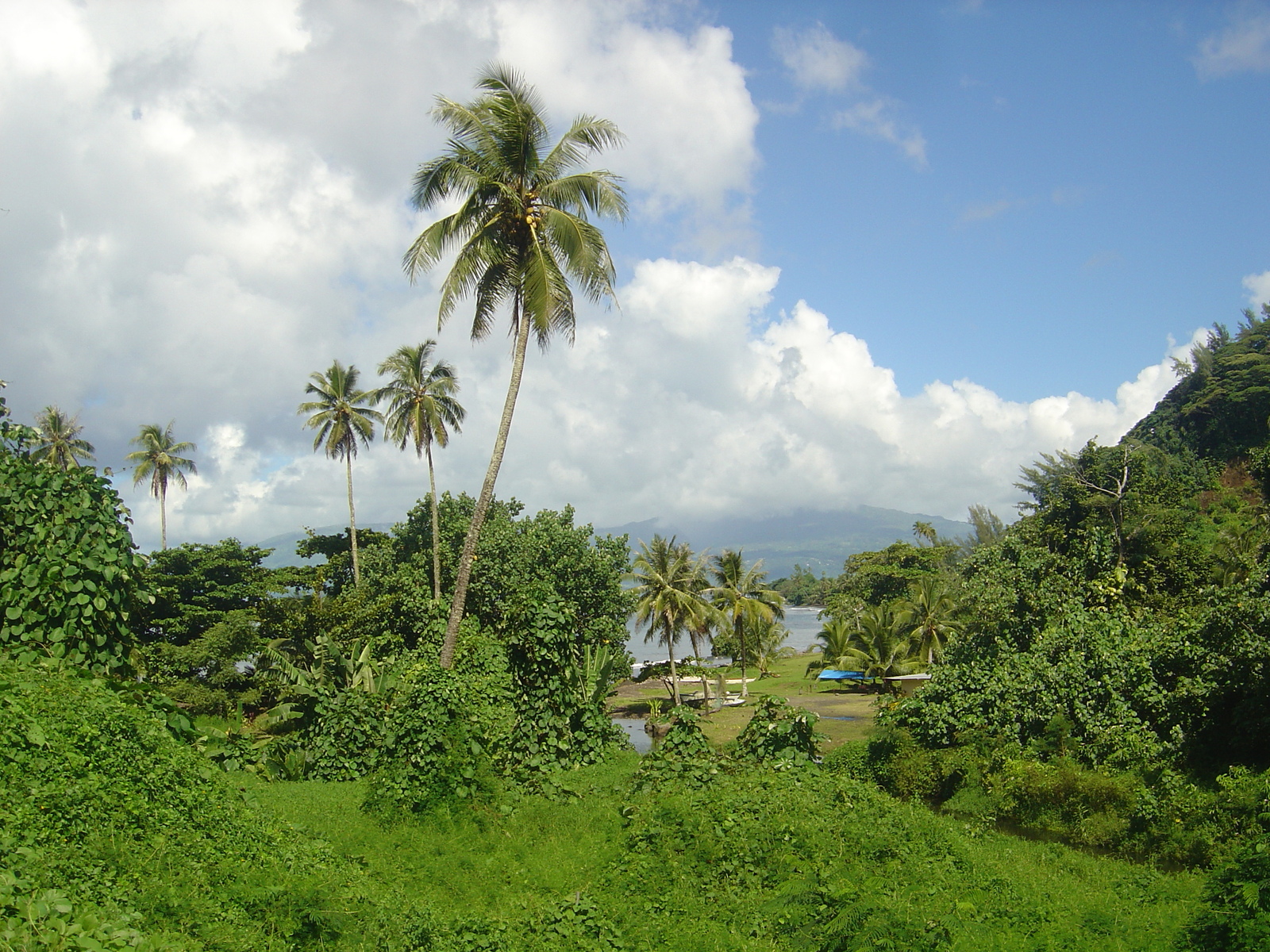 Picture Polynesia Tahiti 2006-04 0 - Journey Tahiti