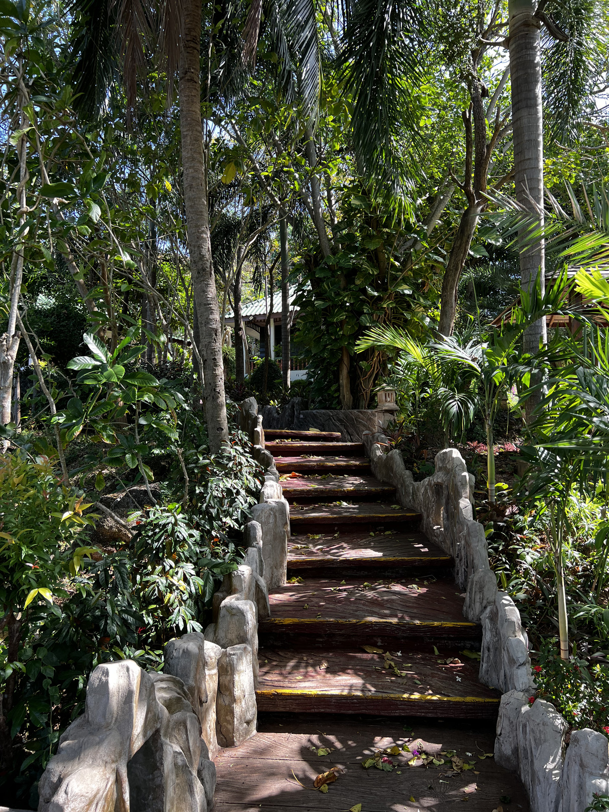 Picture Thailand Phuket Kata Beach Kata Garden Resort 2021-12 16 - Flights Kata Garden Resort