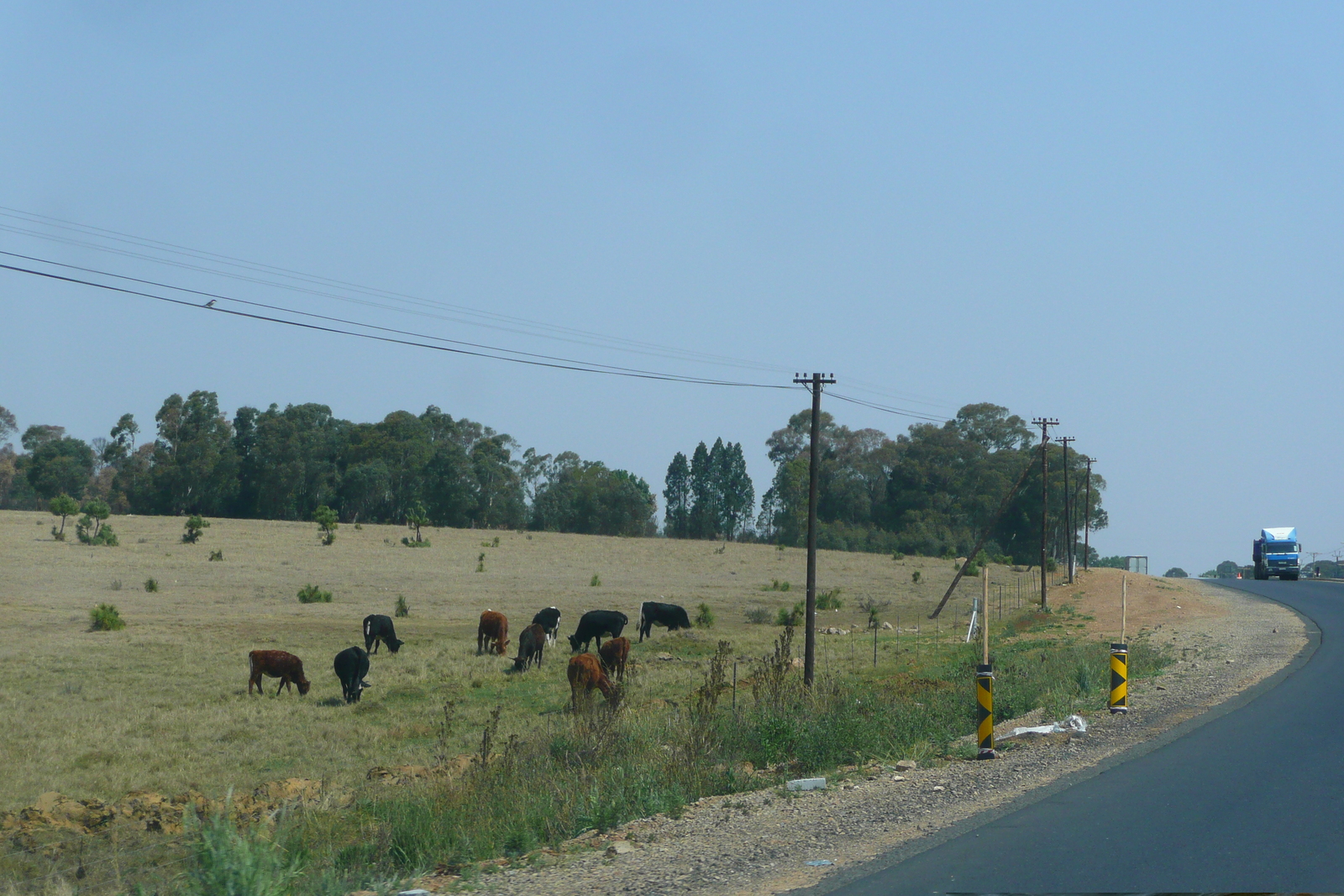 Picture South Africa Nelspruit to Johannesburg road 2008-09 86 - Sight Nelspruit to Johannesburg road