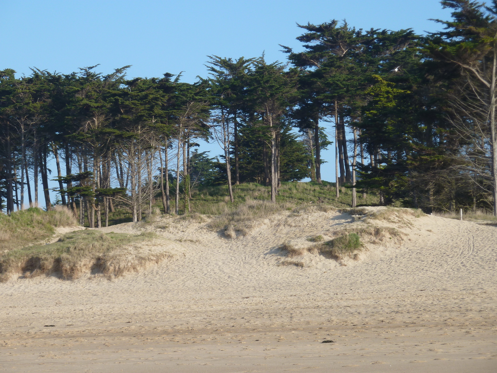 Picture France St Coulomb Chevrets Beach 2010-04 4 - Photographer Chevrets Beach