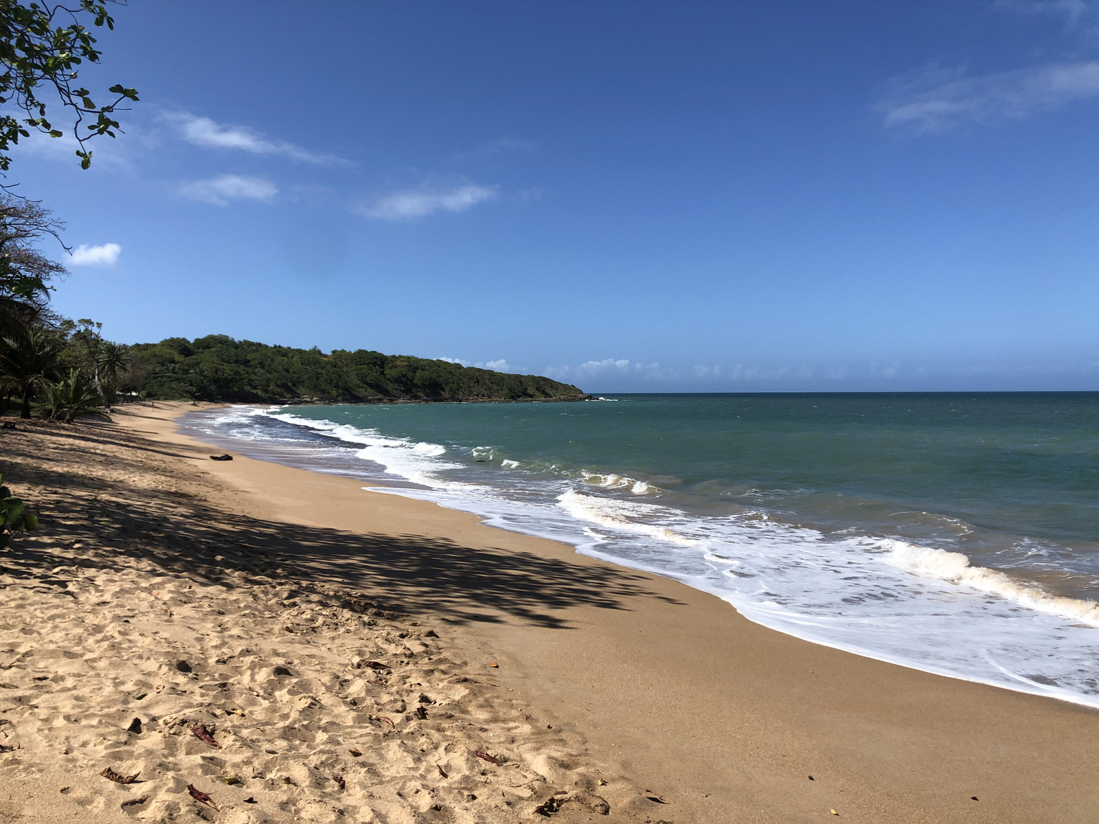 Picture Guadeloupe Sainte Rose 2021-02 0 - Shopping Mall Sainte Rose