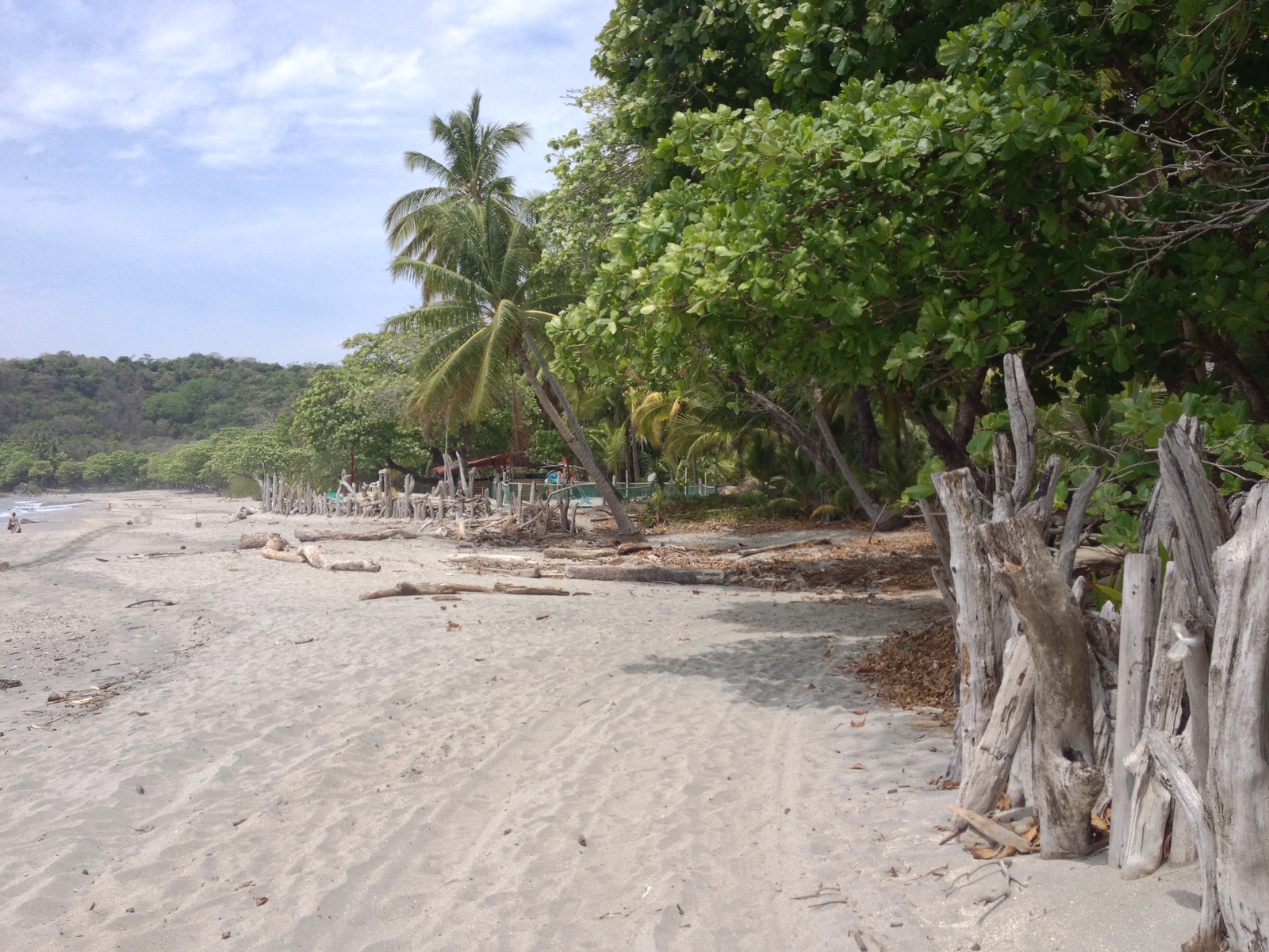 Picture Costa Rica Montezuma 2015-03 619 - Tourist Places Montezuma