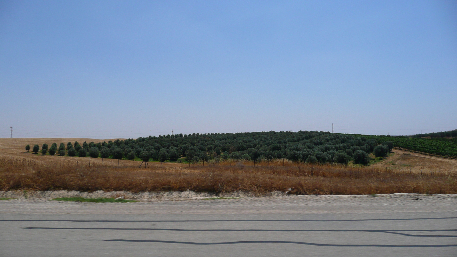 Picture Israel Ashkelon to Arad road 2007-06 203 - Pictures Ashkelon to Arad road