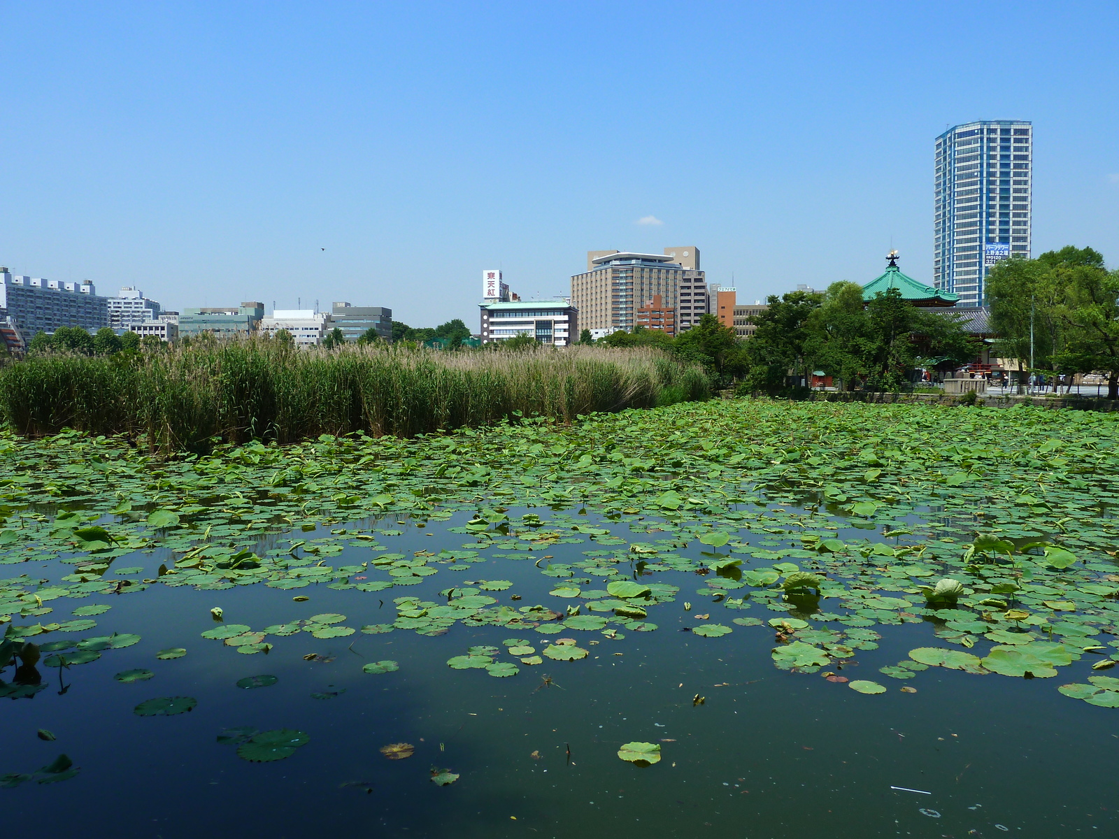 Picture Japan Tokyo Ueno 2010-06 62 - Photo Ueno