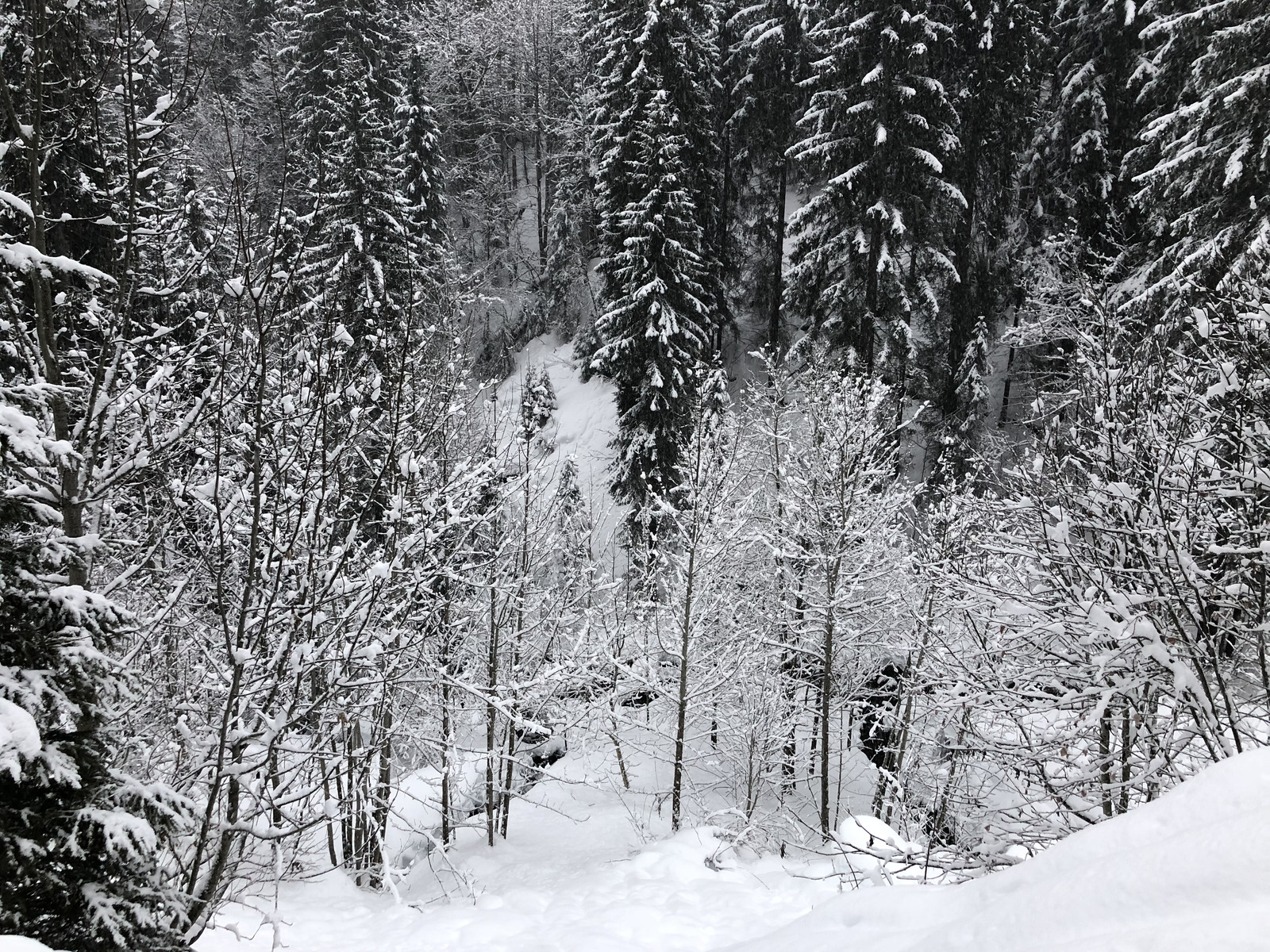 Picture France La Clusaz 2017-12 74 - Discover La Clusaz