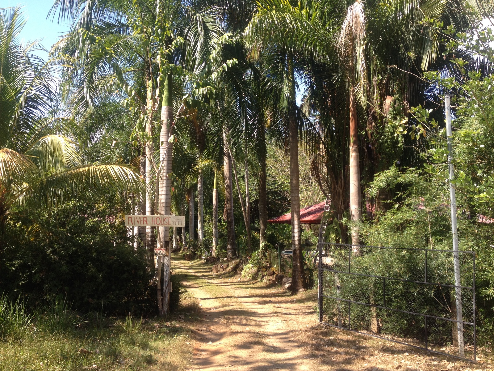 Picture Costa Rica Uvita 2015-03 42 - Sight Uvita