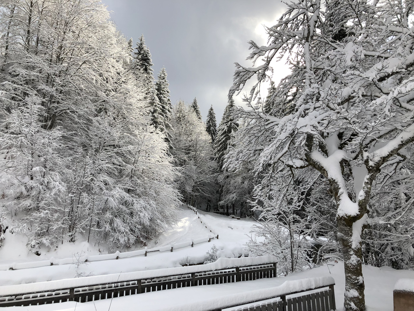 Picture France La Clusaz 2017-12 194 - Picture La Clusaz