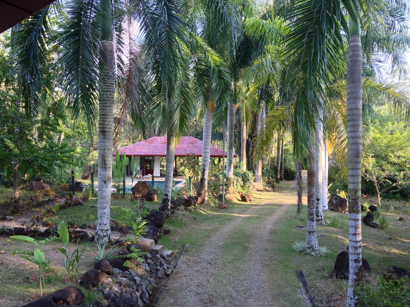 Picture Costa Rica Uvita 2015-03 52 - Sightseeing Uvita