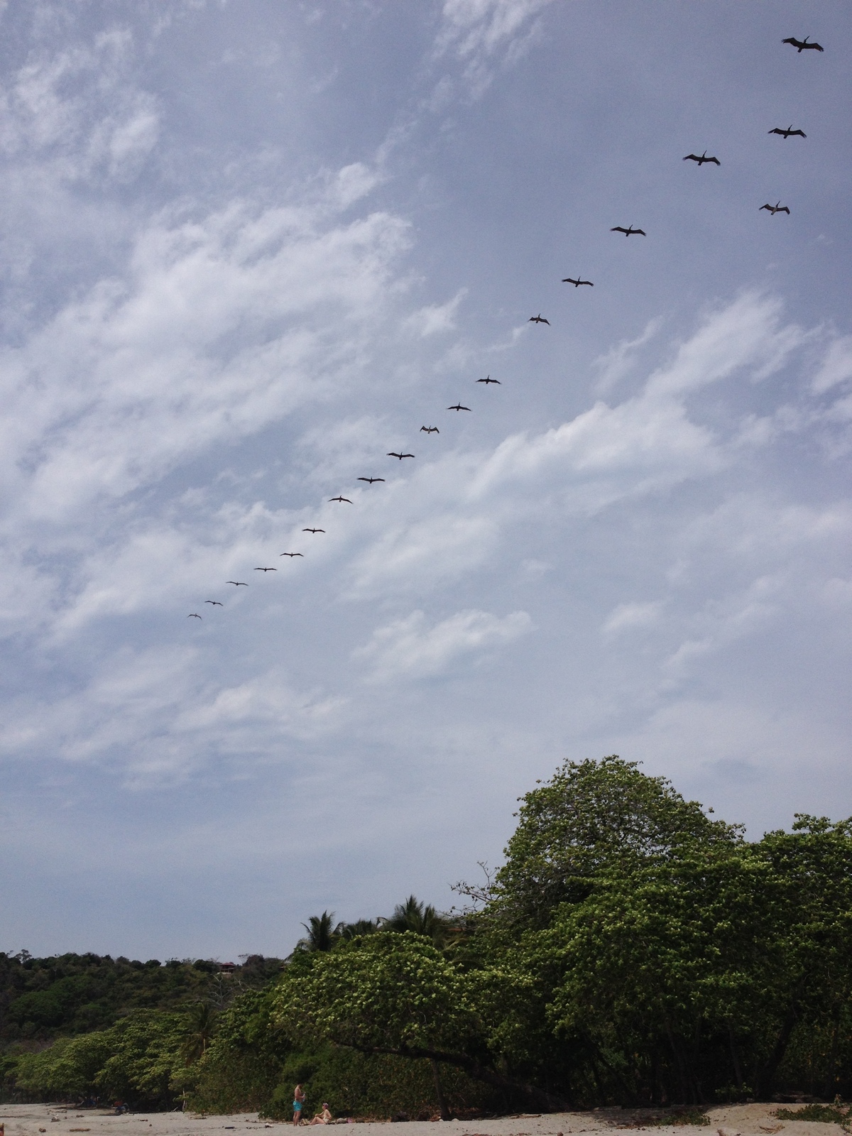 Picture Costa Rica Montezuma 2015-03 571 - Trip Montezuma