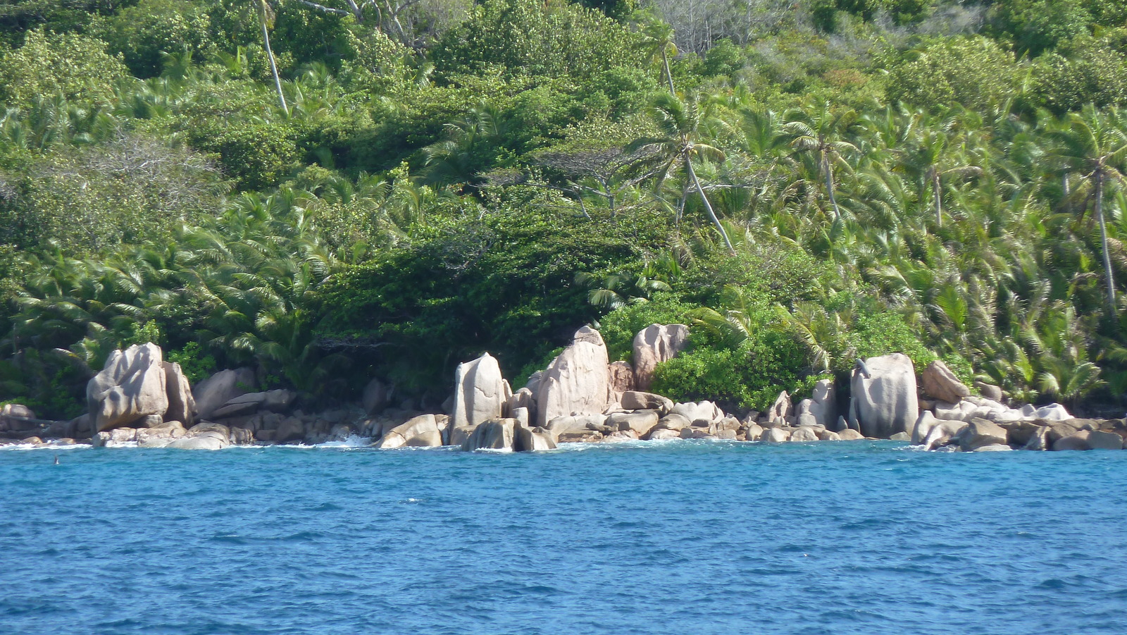 Picture Seychelles Grande Soeur 2011-10 50 - Sight Grande Soeur