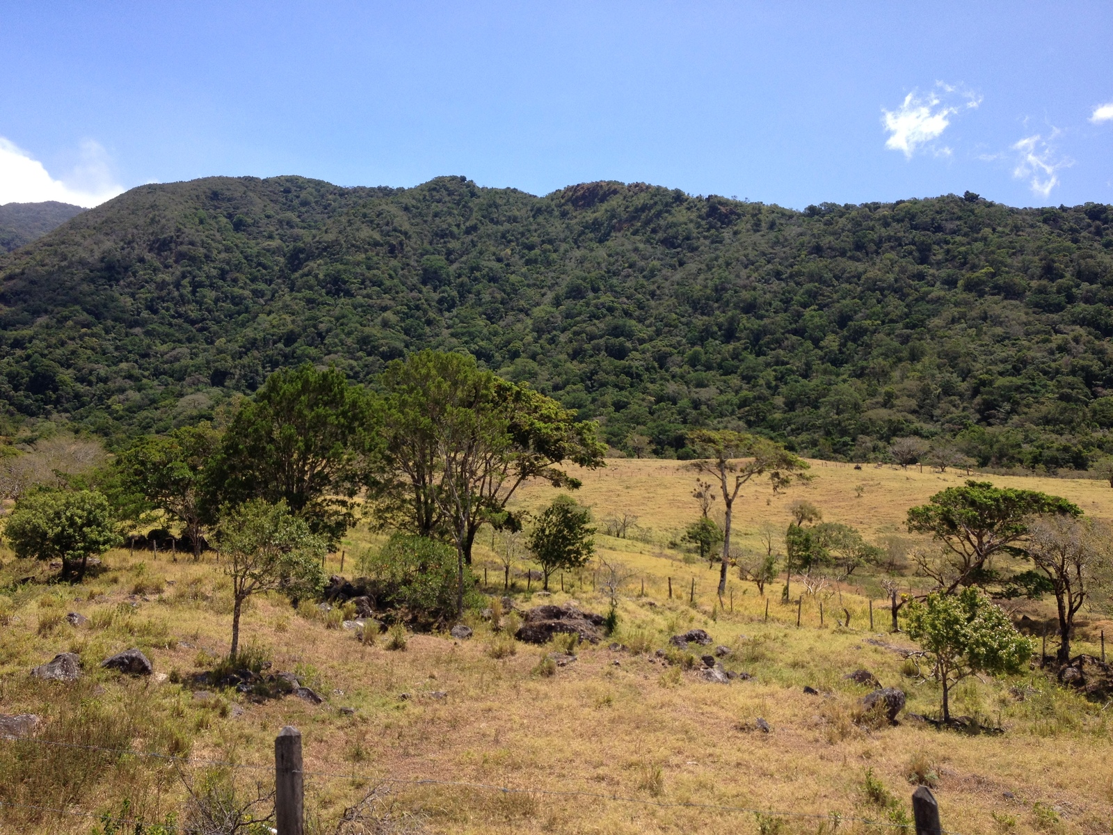 Picture Panama David to Bocas del toro 2015-03 0 - Perspective David to Bocas del toro