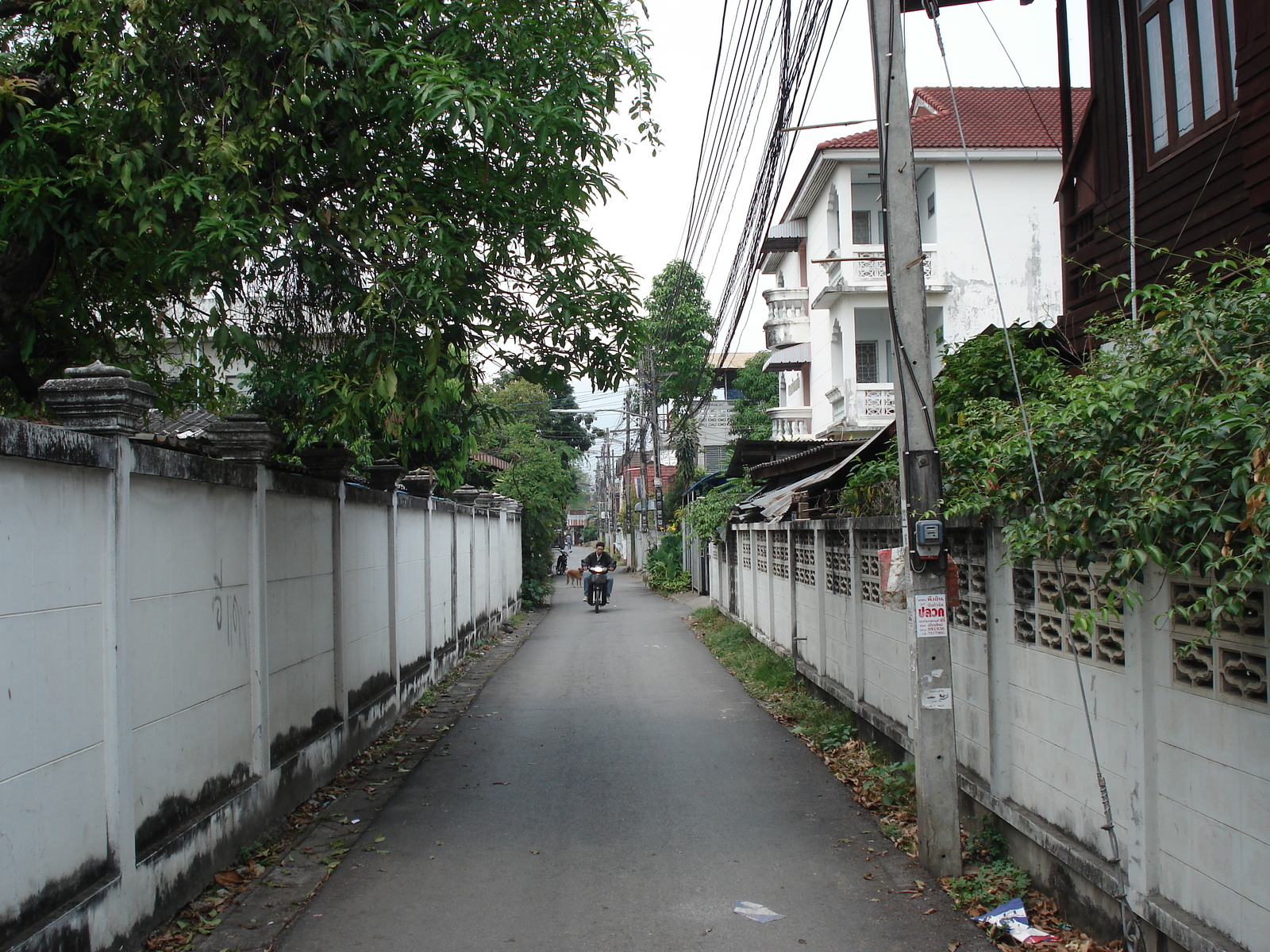 Picture Thailand Chiang Mai Inside Canal Sam Larn 2006-04 13 - Photographer Sam Larn