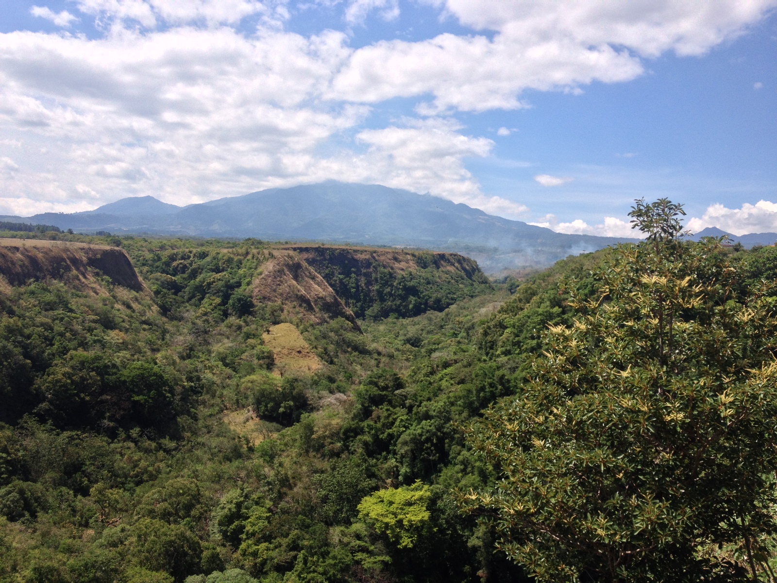 Picture Panama Boquete 2015-03 143 - Flight Boquete