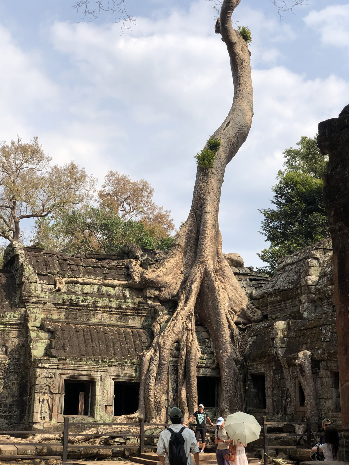 Picture Cambodia Siem Reap Ta Prohm 2023-01 111 - Photographers Ta Prohm