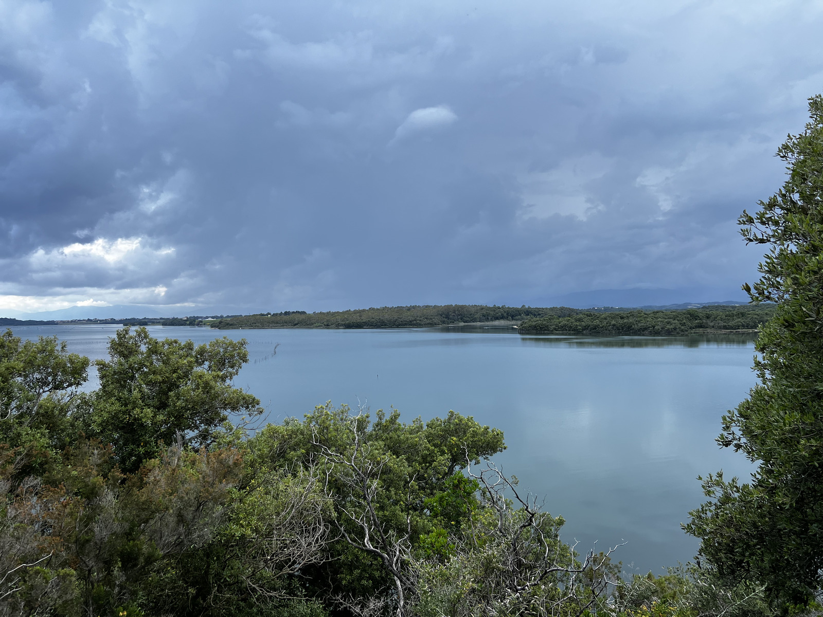 Picture France Corsica Etang de Diane 2023-06 0 - Flights Etang de Diane