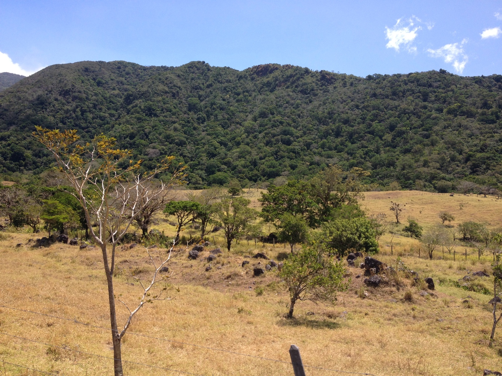 Picture Panama David to Bocas del toro 2015-03 122 - Perspective David to Bocas del toro