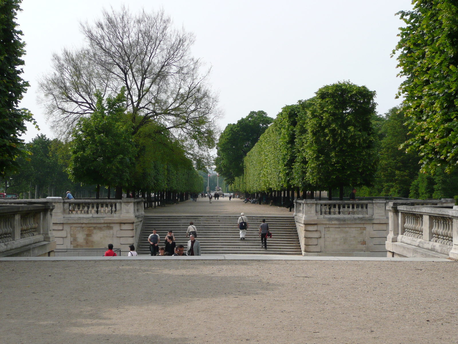 Picture France Paris Garden of Tuileries 2007-05 211 - Trail Garden of Tuileries