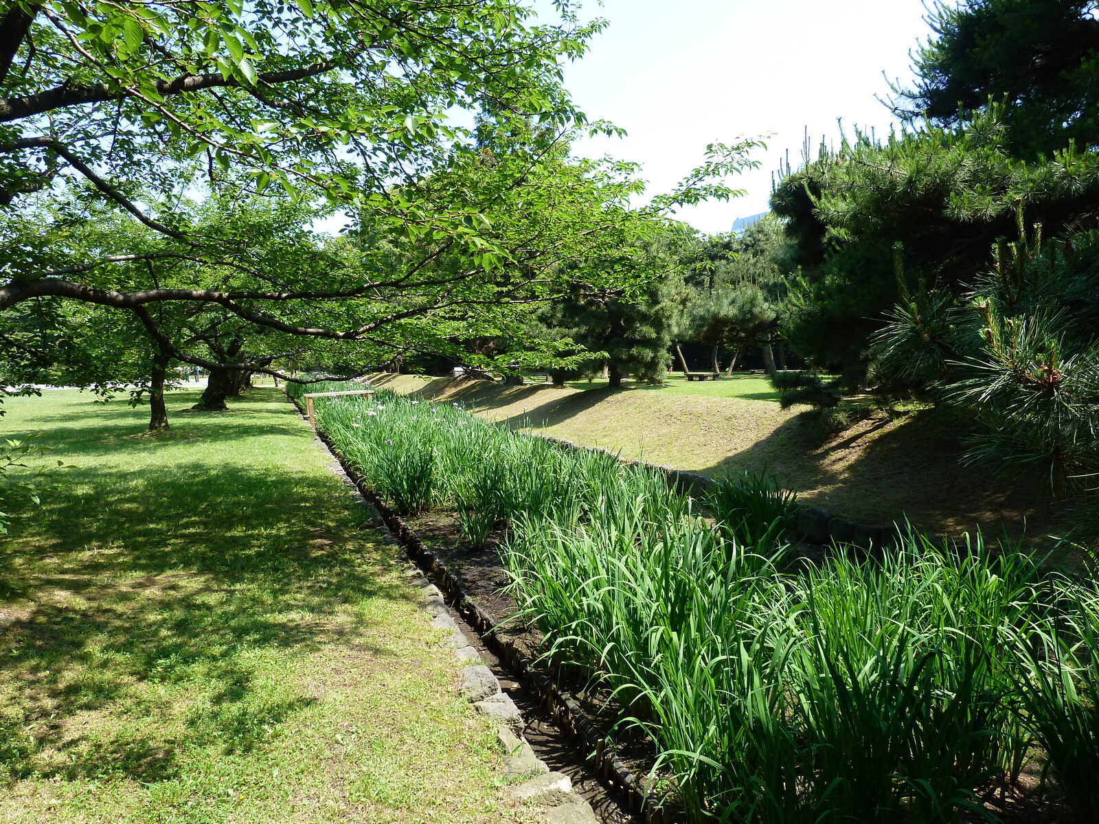 Picture Japan Tokyo Hama rikyu Gardens 2010-06 74 - Trips Hama rikyu Gardens