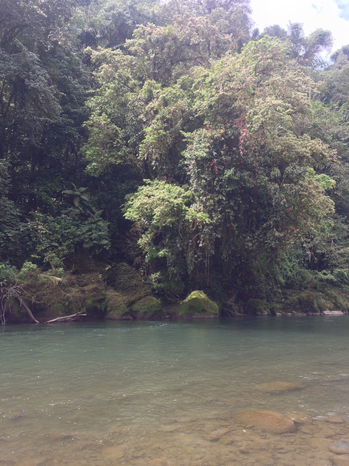 Picture Costa Rica Pacuare River 2015-03 174 - Map Pacuare River