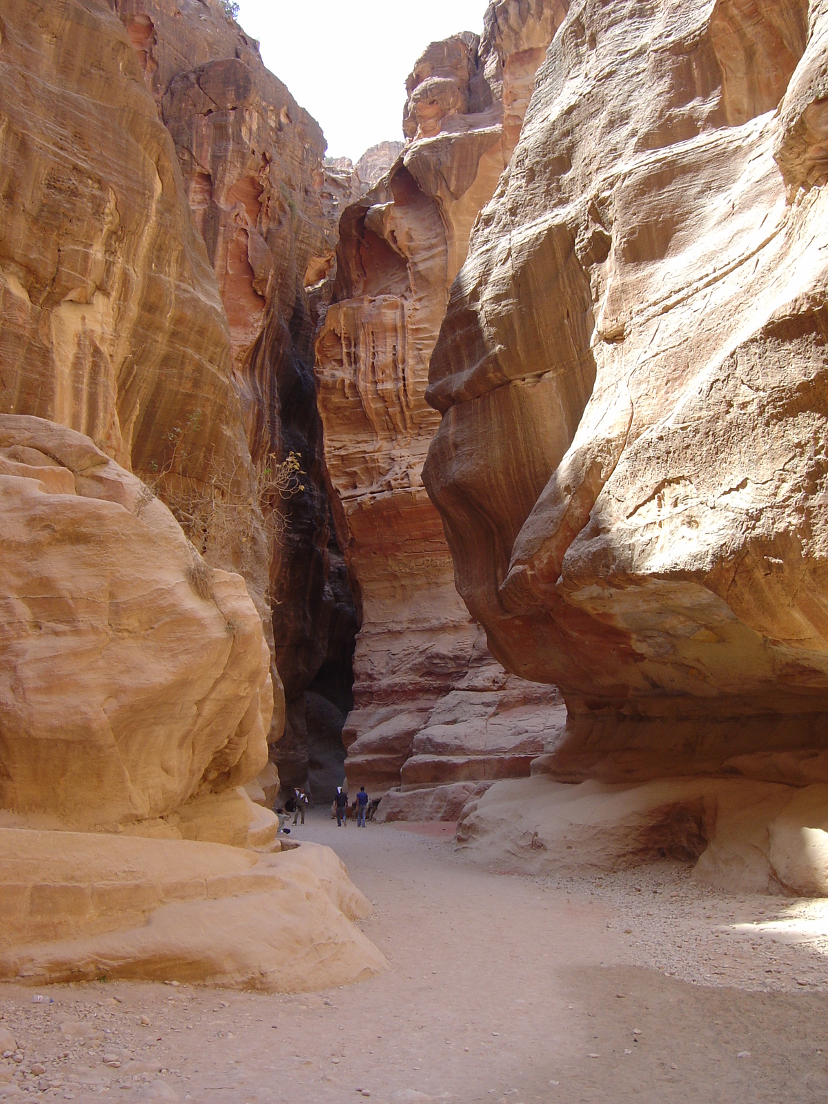 Picture Jordan Petra 2004-10 2 - Photos Petra