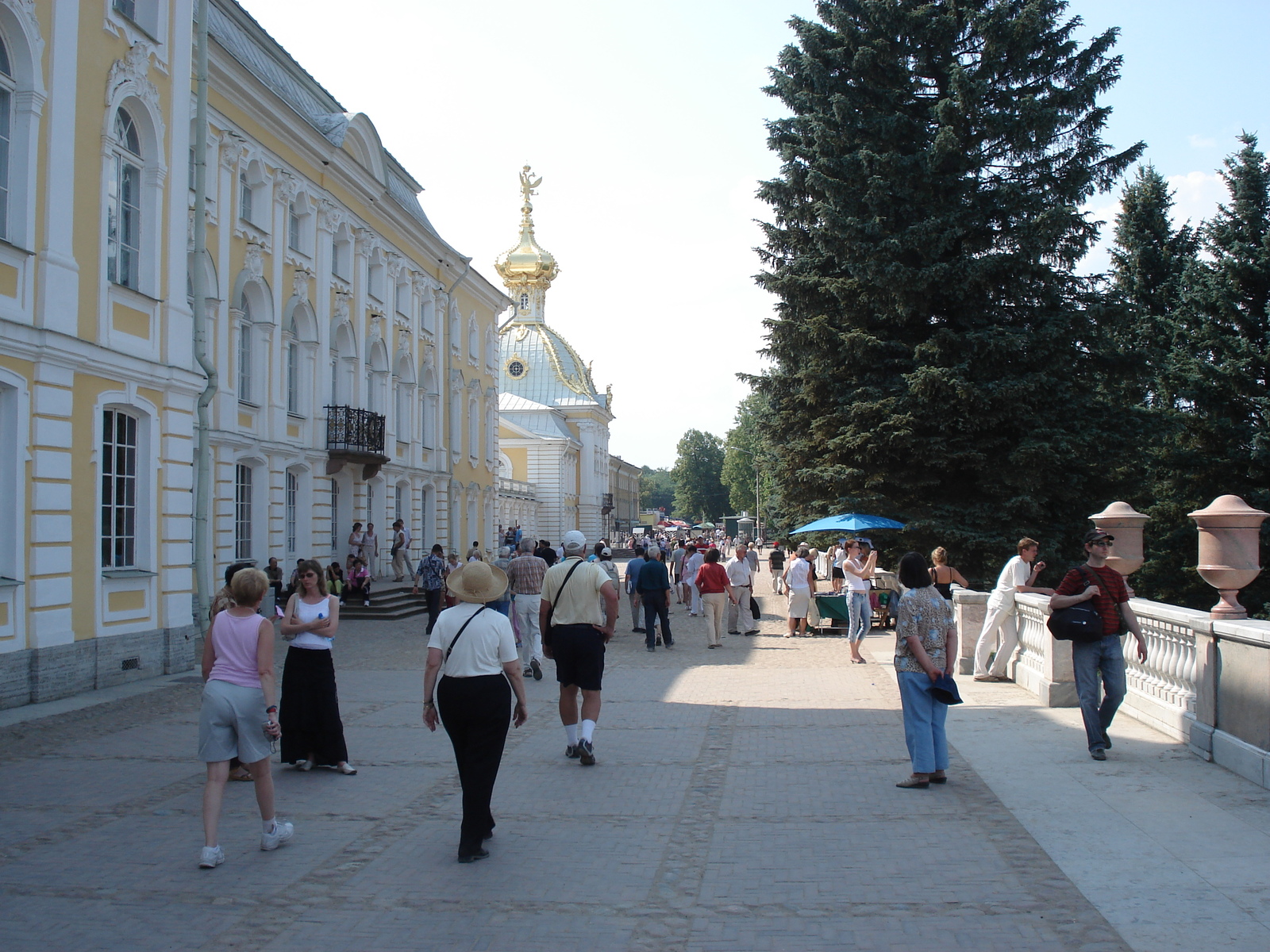 Picture Russia Petrodvorets 2006-07 41 - Trail Petrodvorets