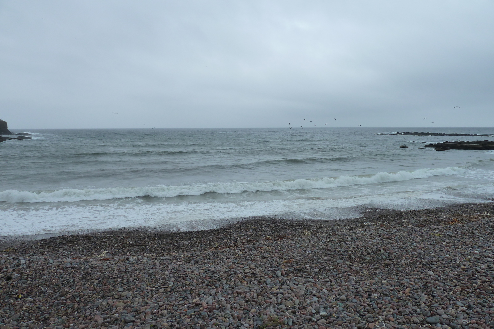 Picture United Kingdom Scotland Moray Coast 2011-07 26 - Sight Moray Coast