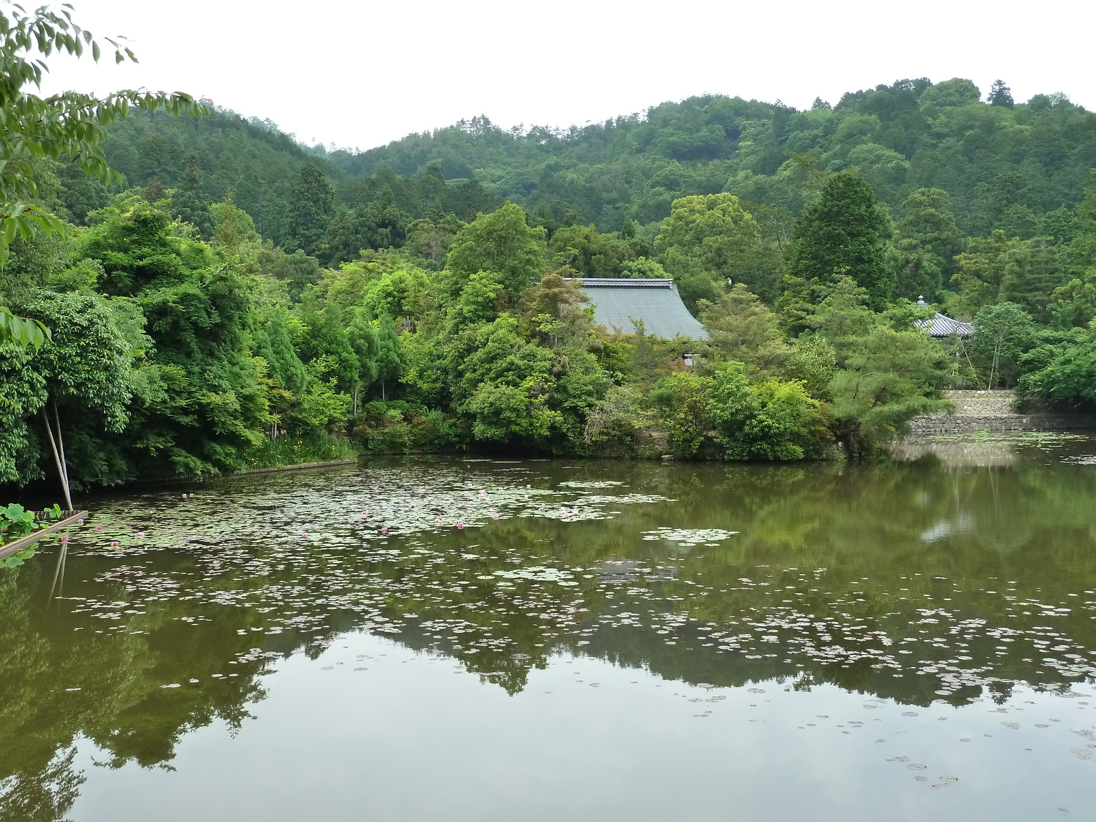 Picture Japan Kyoto Ryoanji Temple 2010-06 65 - Photographer Ryoanji Temple