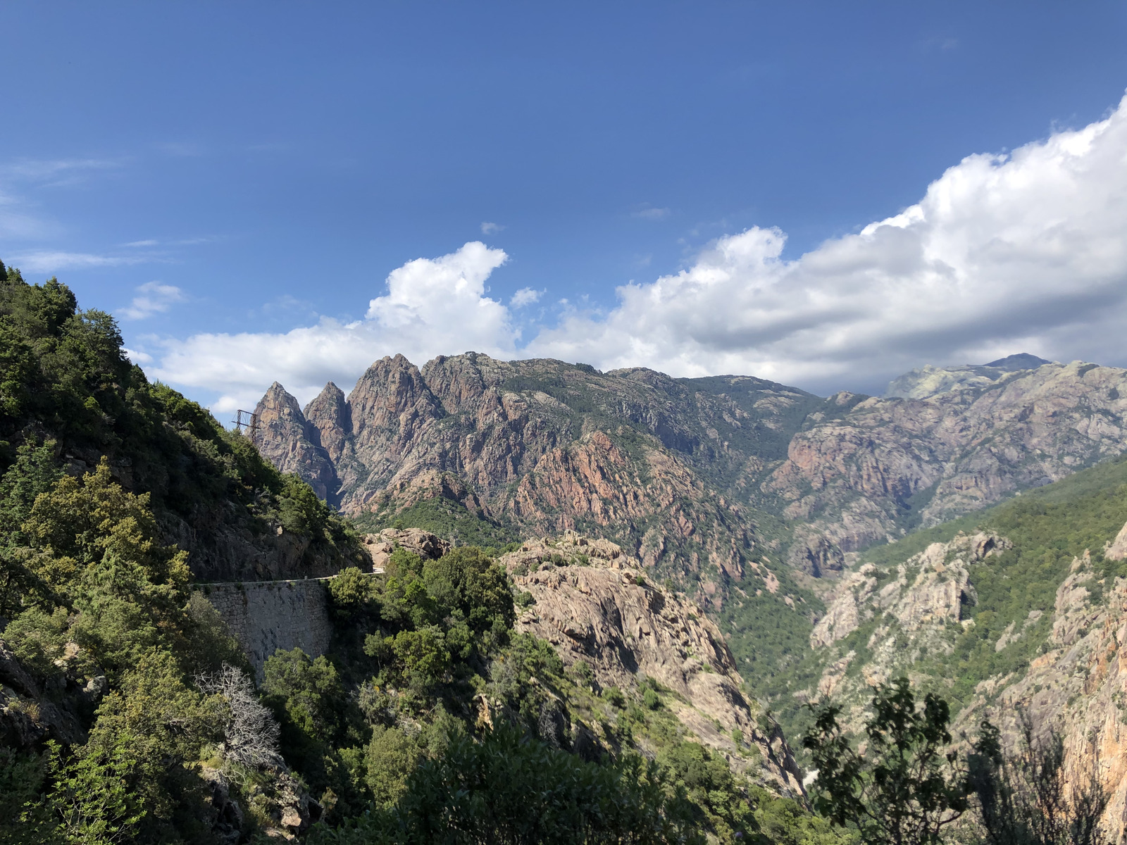 Picture France Corsica Aitone Forest 2021-06 9 - Photographers Aitone Forest