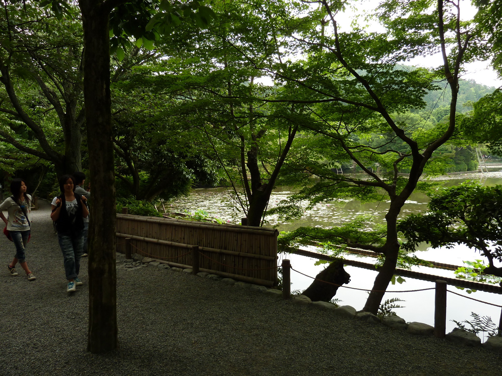 Picture Japan Kyoto Ryoanji Temple 2010-06 58 - Tourist Ryoanji Temple