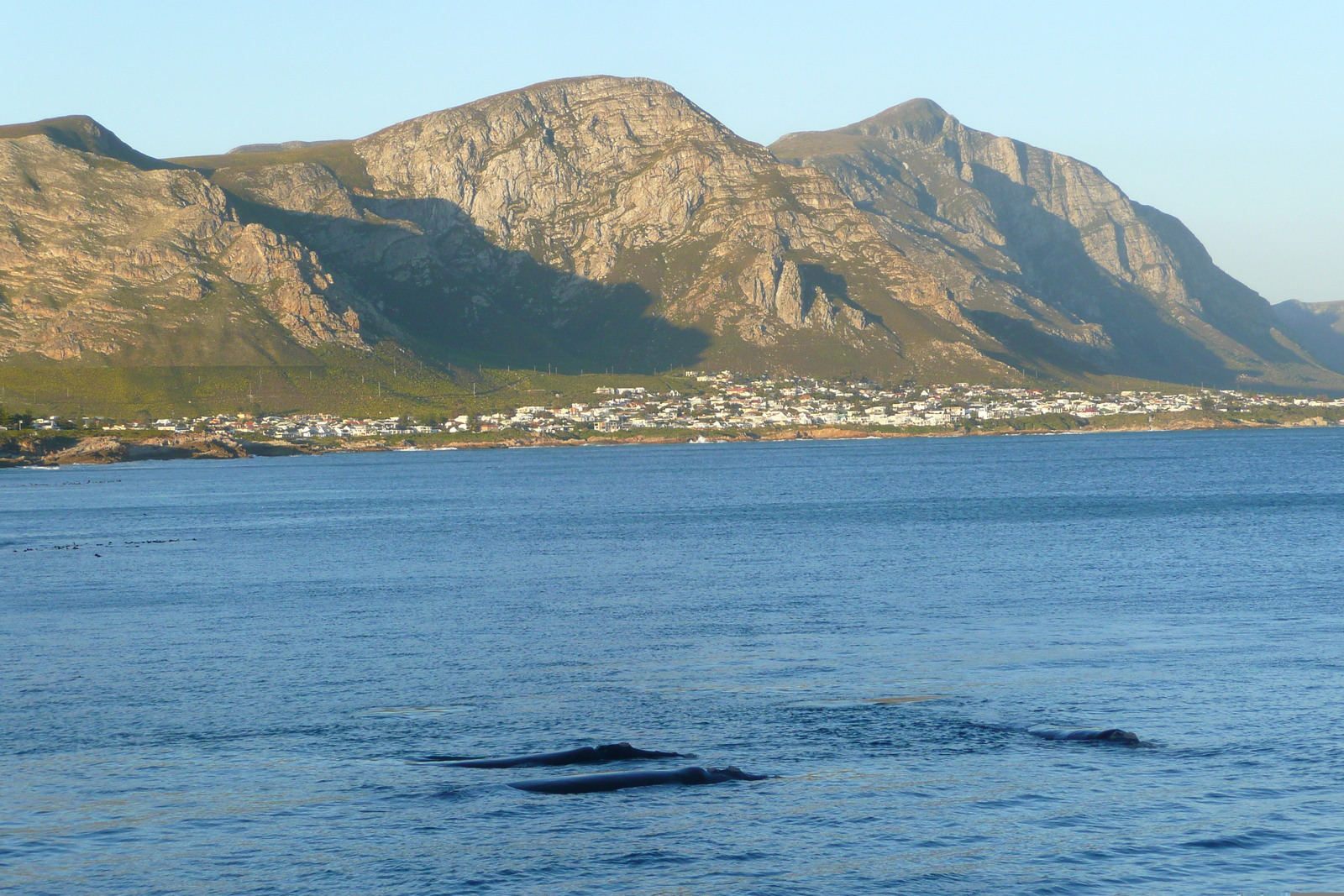 Picture South Africa Harmanus 2008-09 169 - Photographer Harmanus