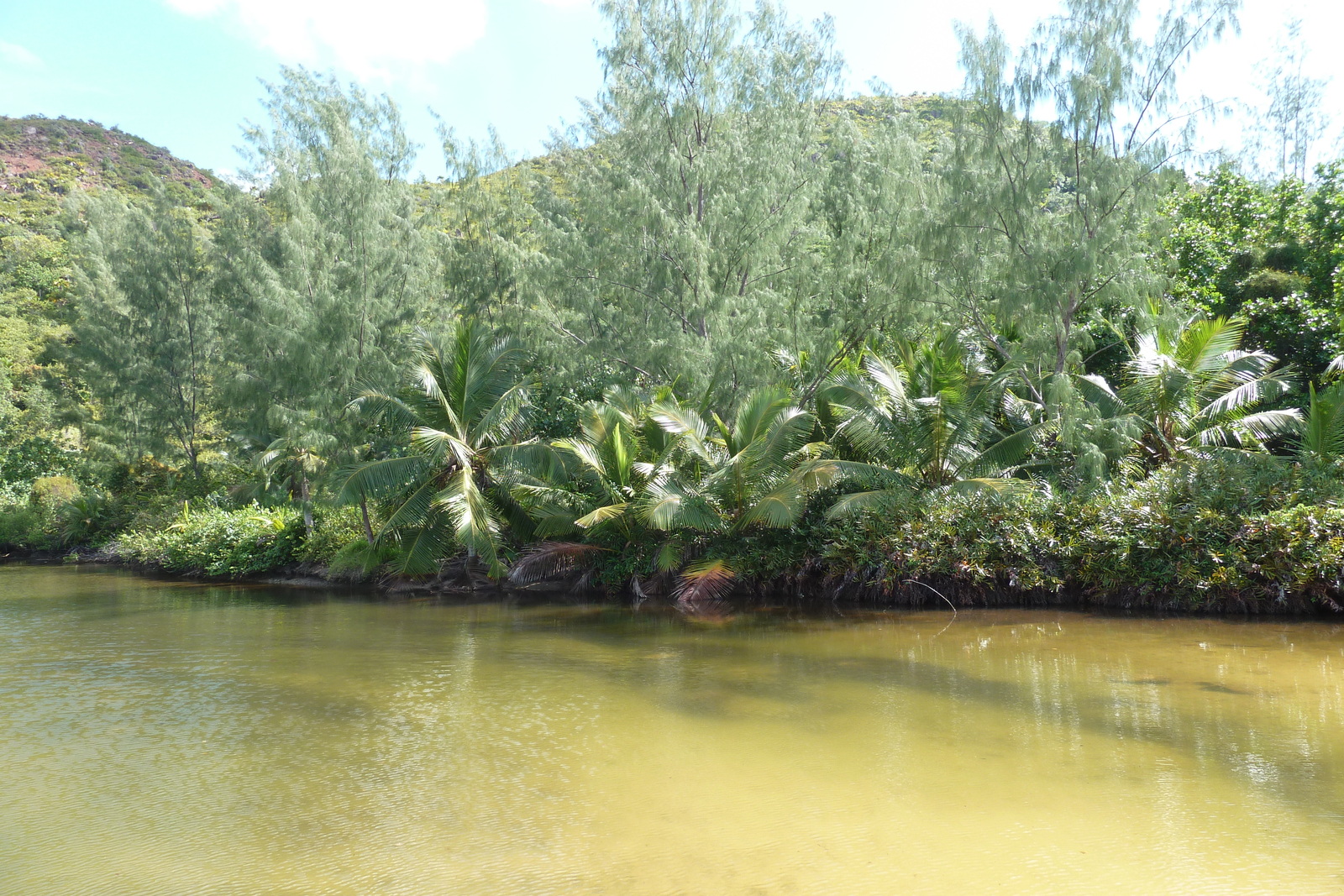 Picture Seychelles Anse Lazio 2011-10 52 - Travels Anse Lazio