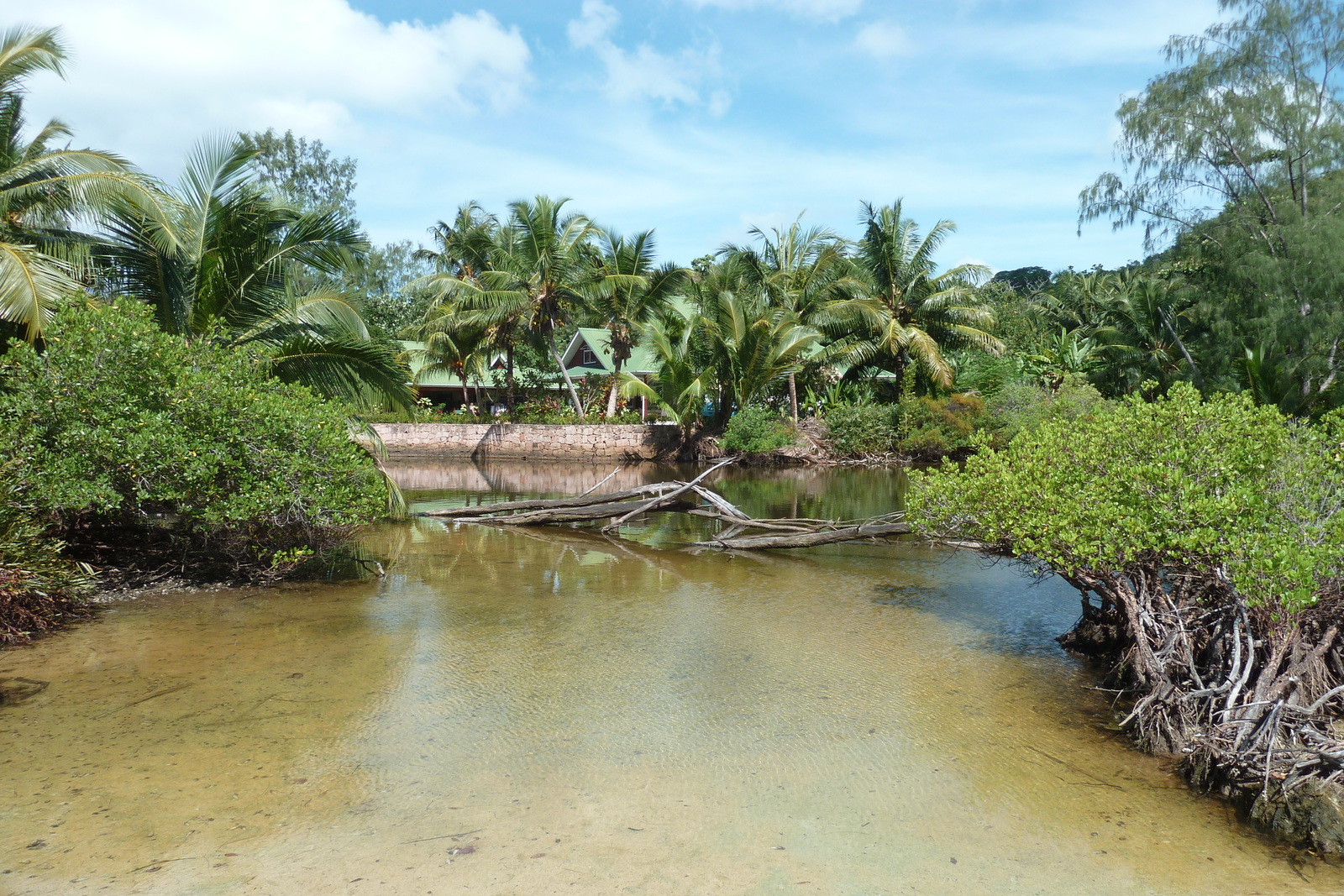 Picture Seychelles Anse Lazio 2011-10 31 - Photos Anse Lazio