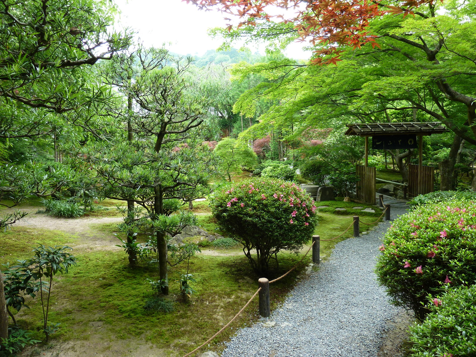 Picture Japan Kyoto Ryoanji Temple 2010-06 32 - Flight Ryoanji Temple